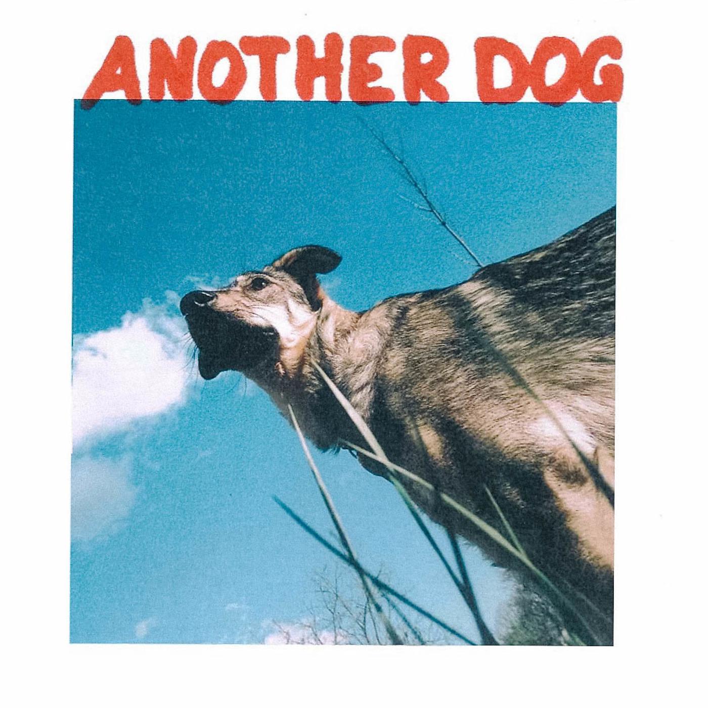 Постер альбома Another Dog