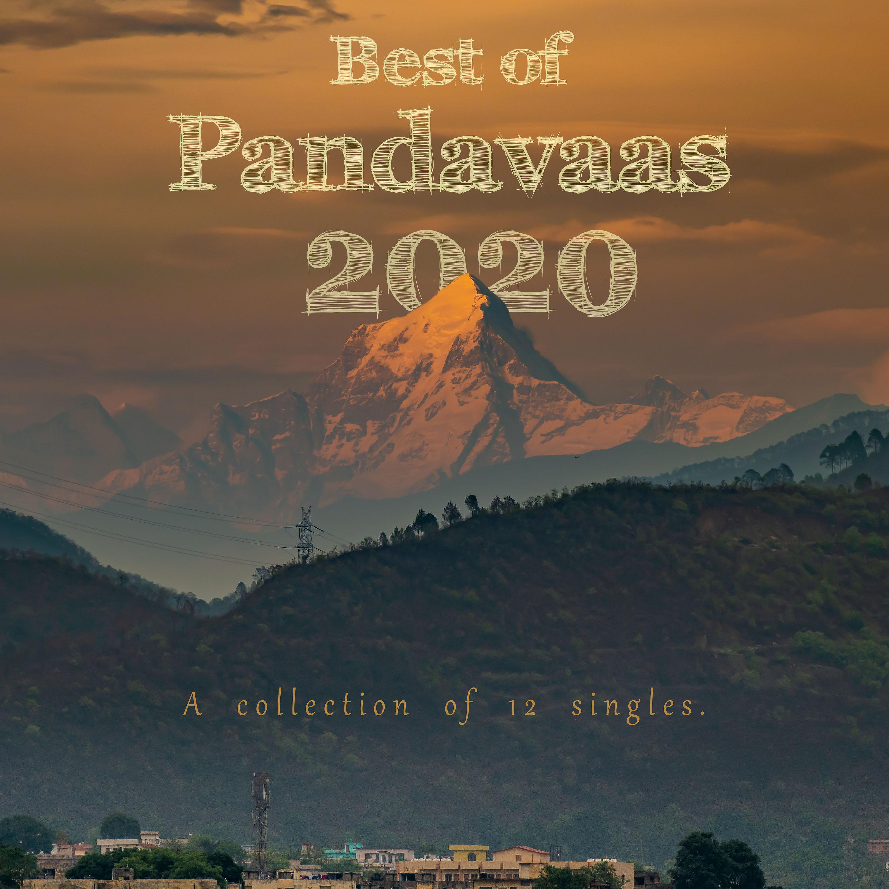 Постер альбома Best of Pandavaas 2020