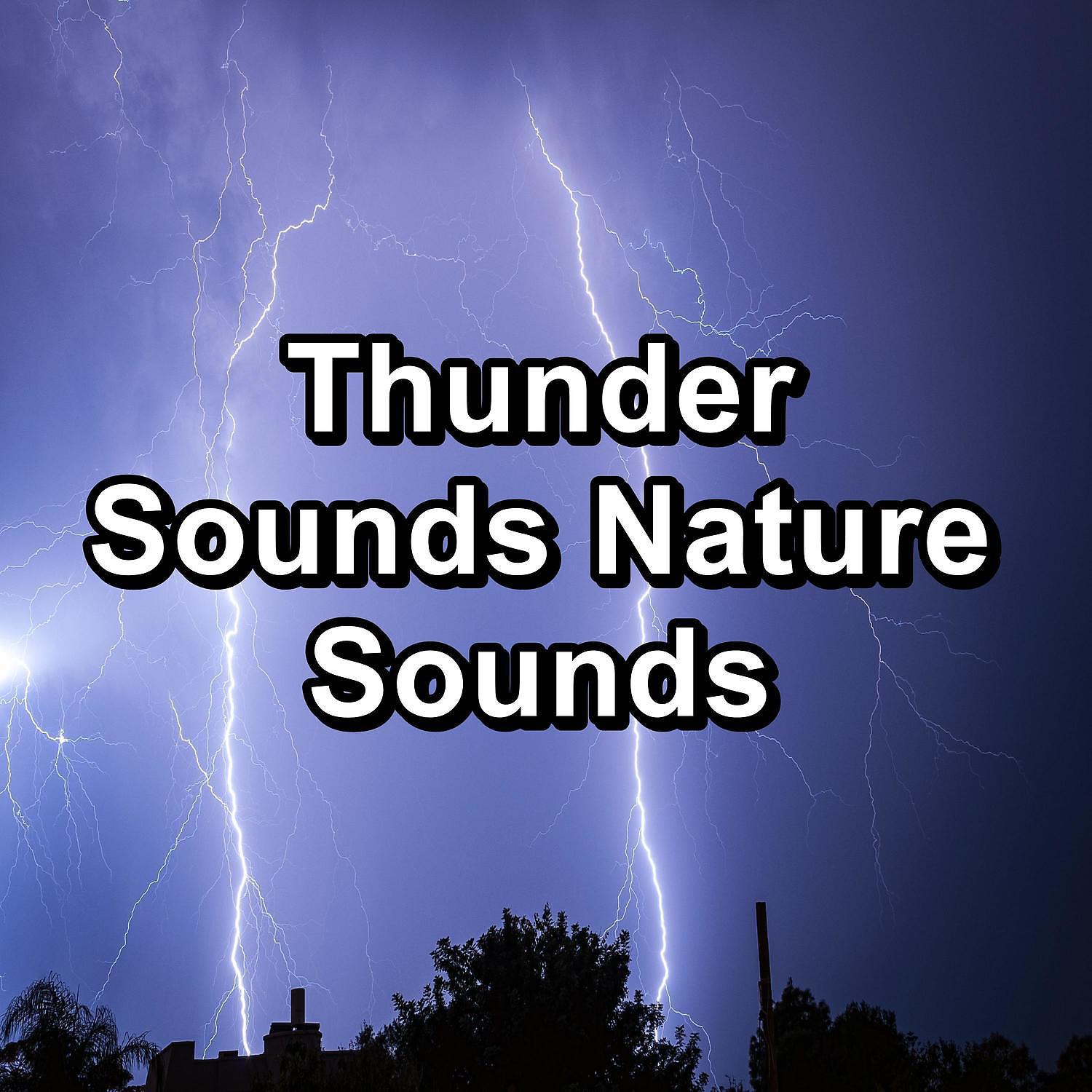 Постер альбома Thunder Sounds Nature Sounds