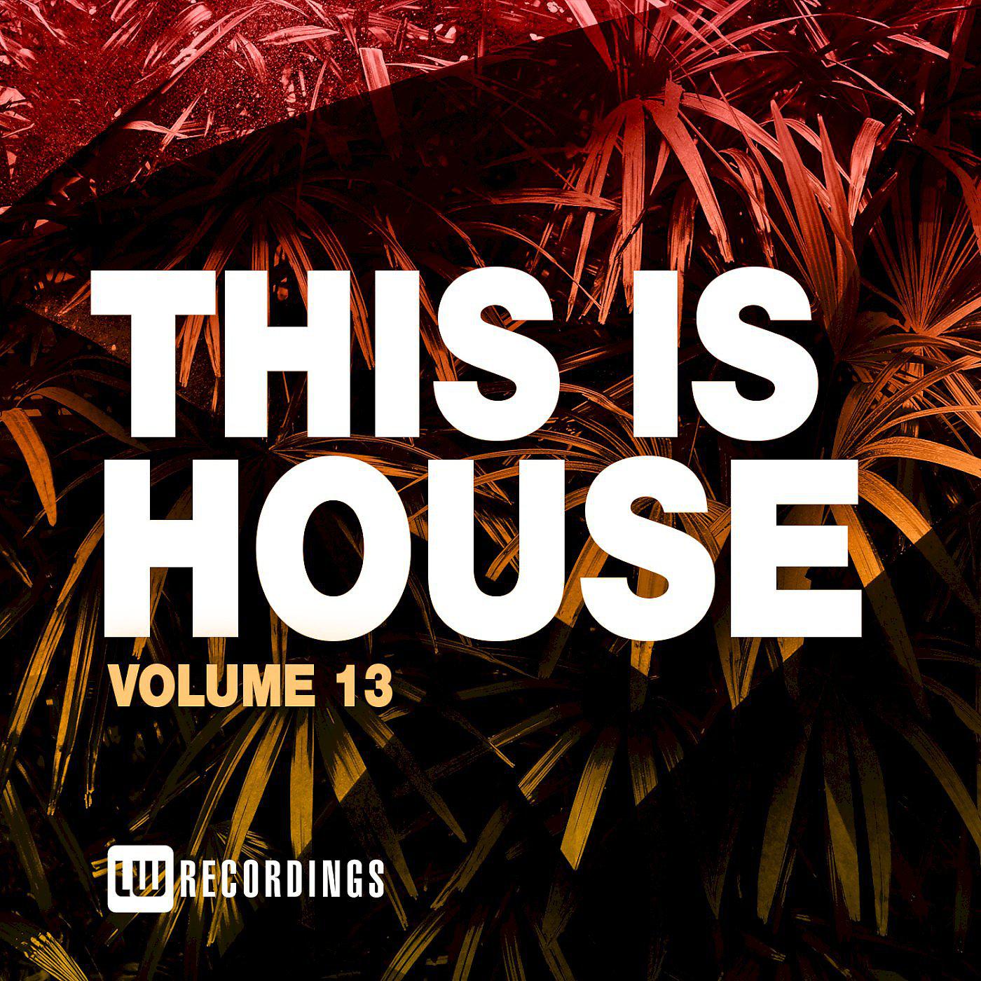 Постер альбома This Is House, Vol. 13