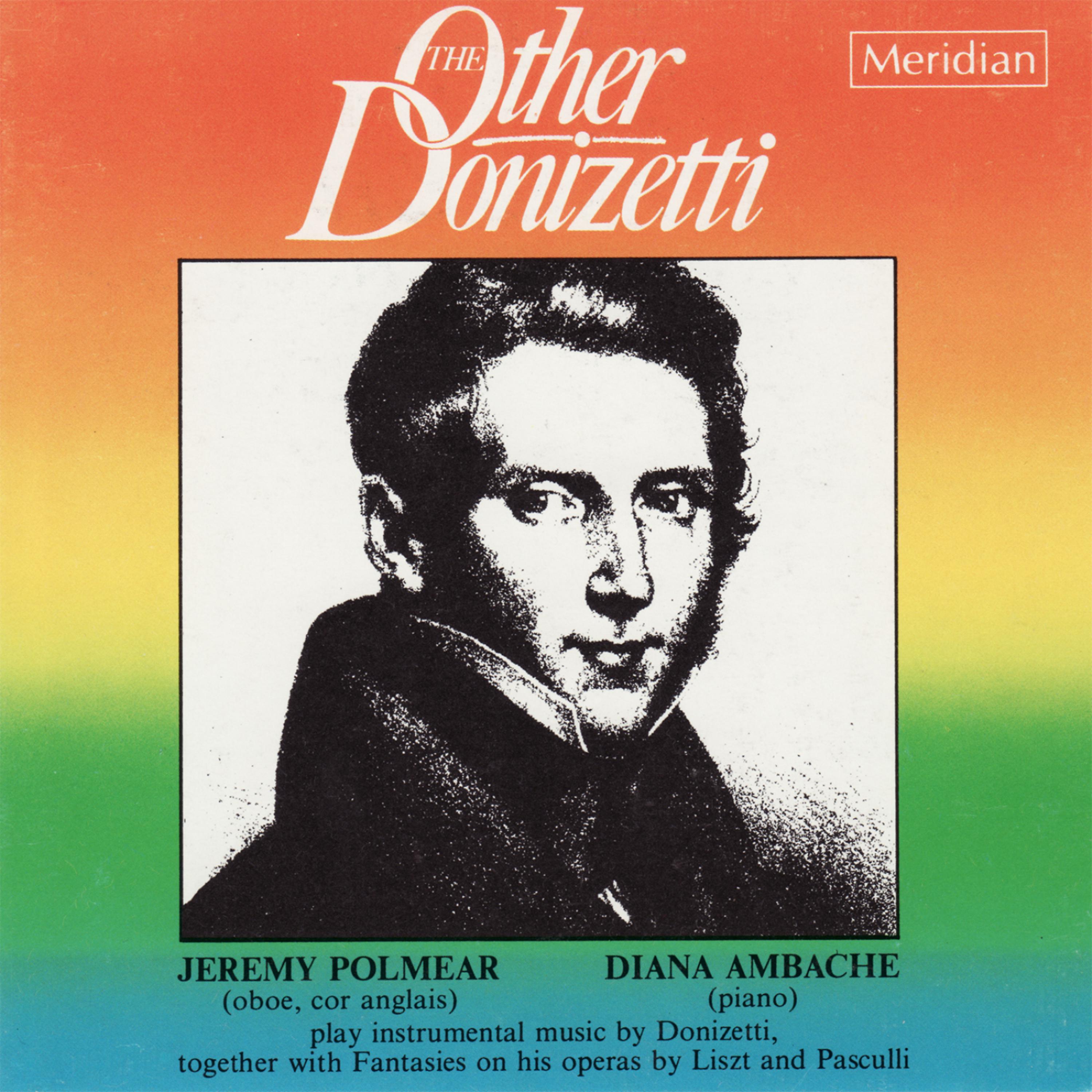 Постер альбома The Other Donizetti