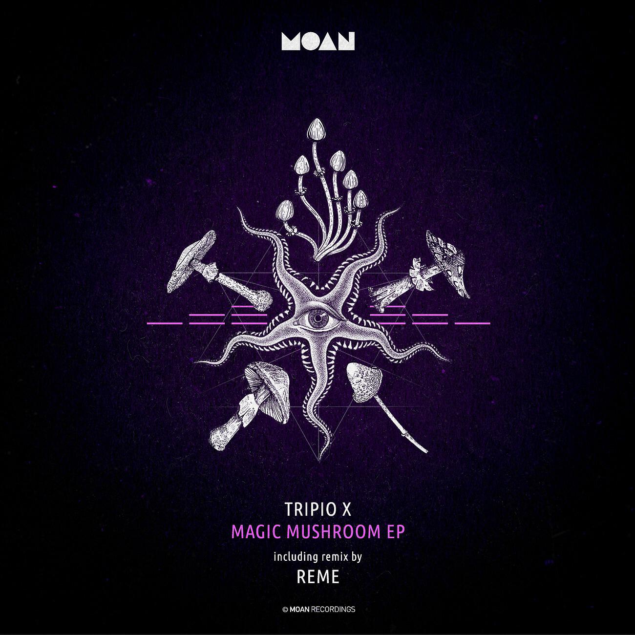 Tripio X - Magic Mushroom (REME Remix)