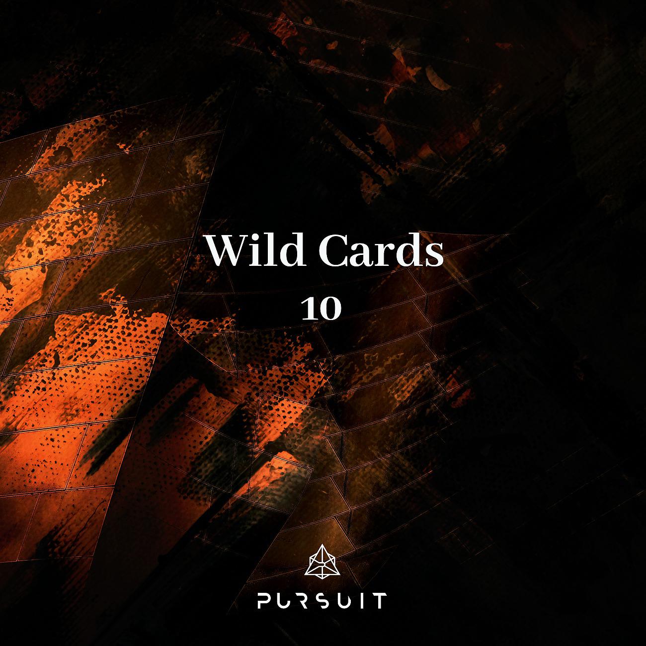 Постер альбома Wild Cards 10