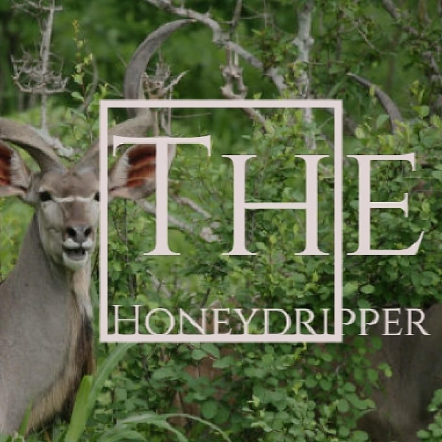 Roosevelt Sykes - The Honeydripper
