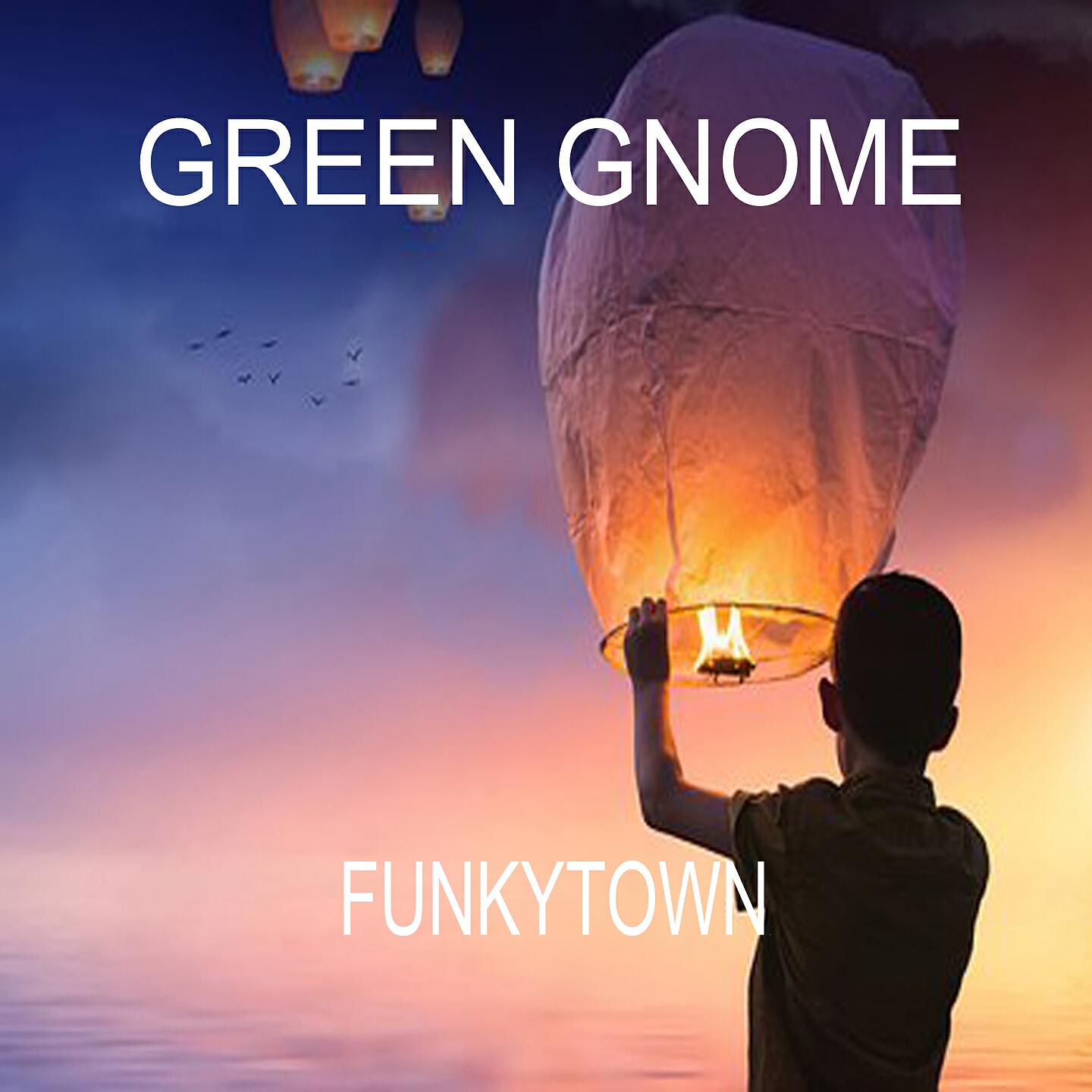 Green Gnome - Funkytown (Purple Edit)