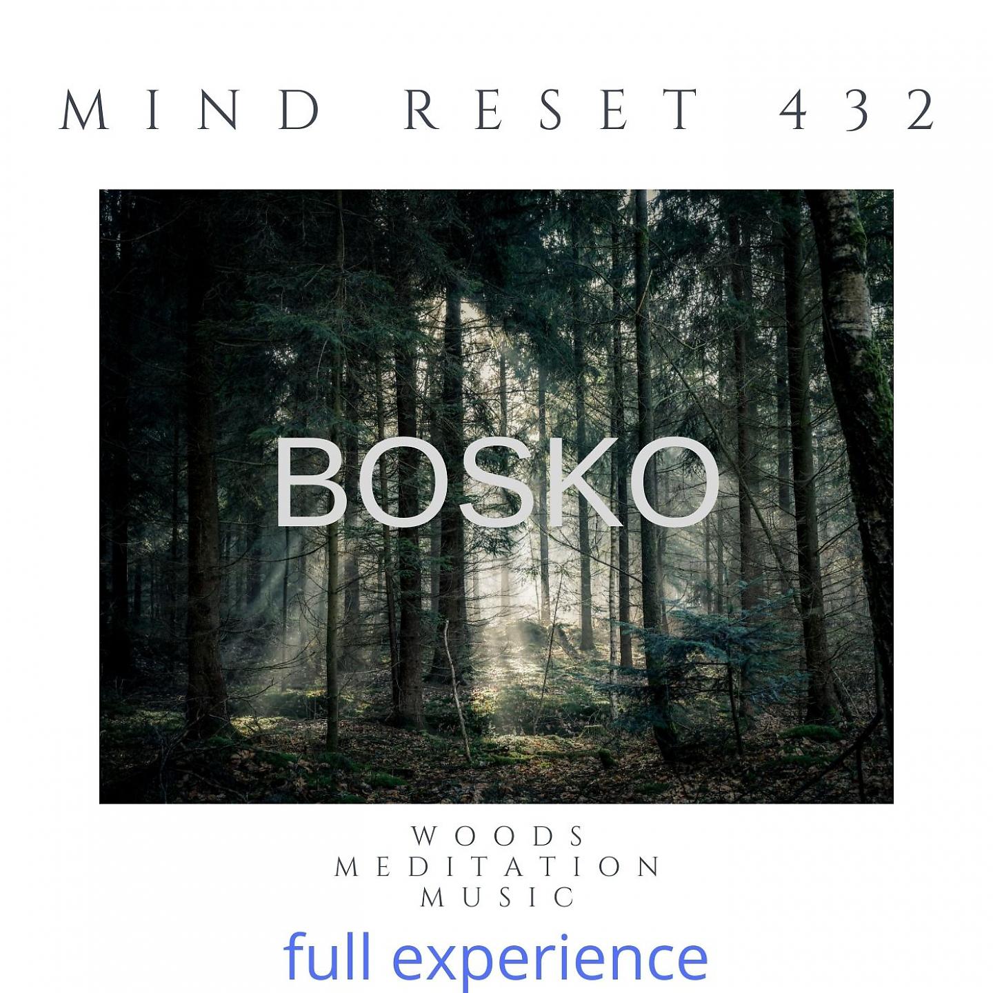 Постер альбома BOSKO Woods meditation music