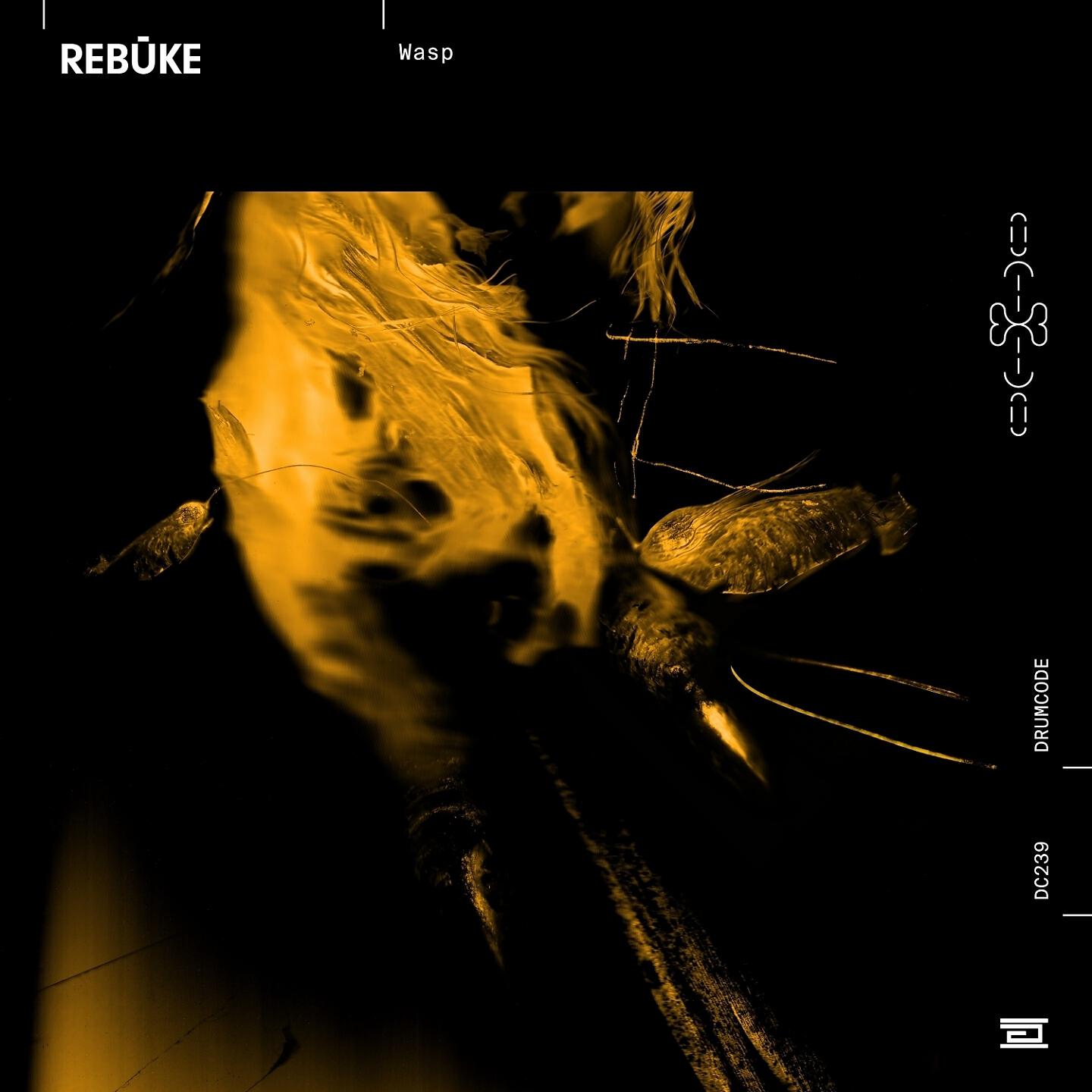Rebūke - Redemption