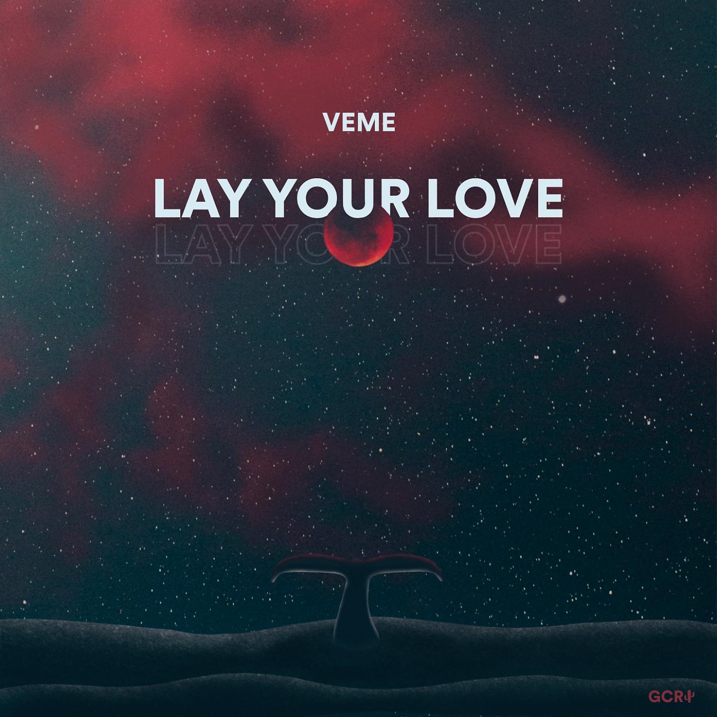 Постер альбома Lay Your Love