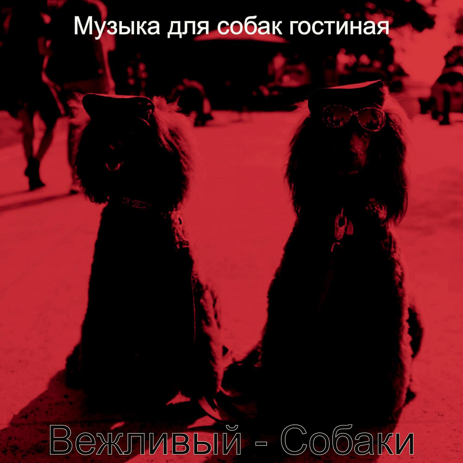 Постер альбома Вежливый - Собаки