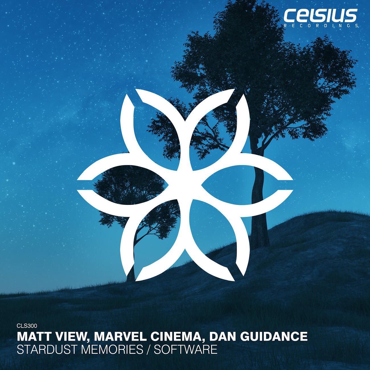 Matt View - Software