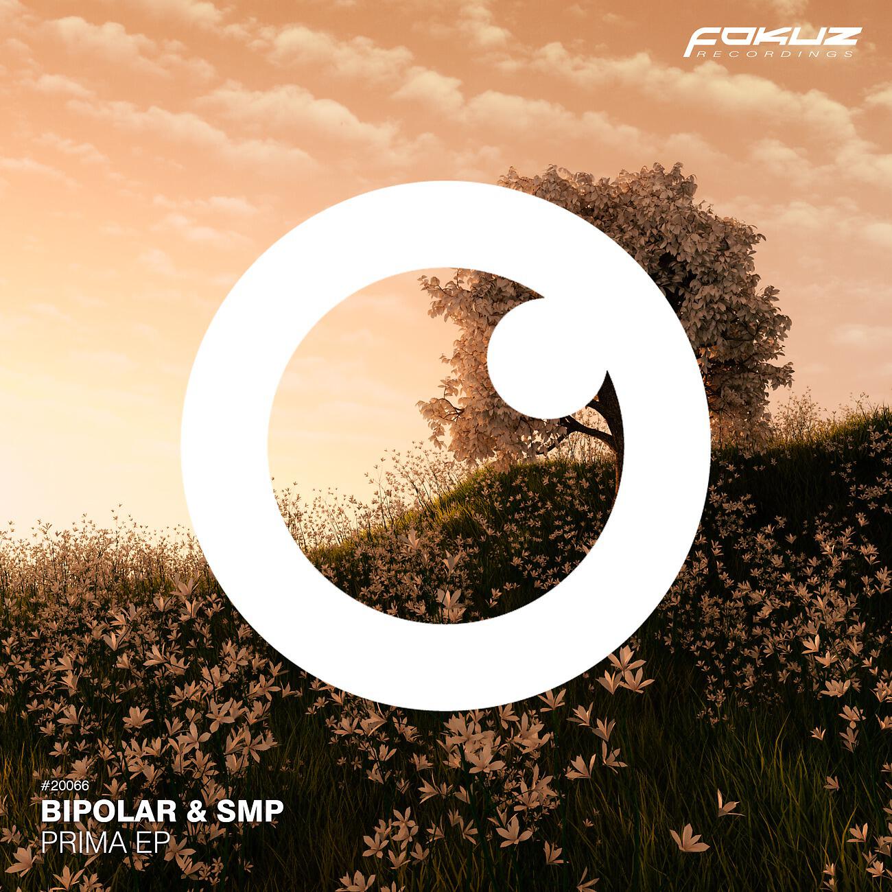 BIPOLAR - Lies