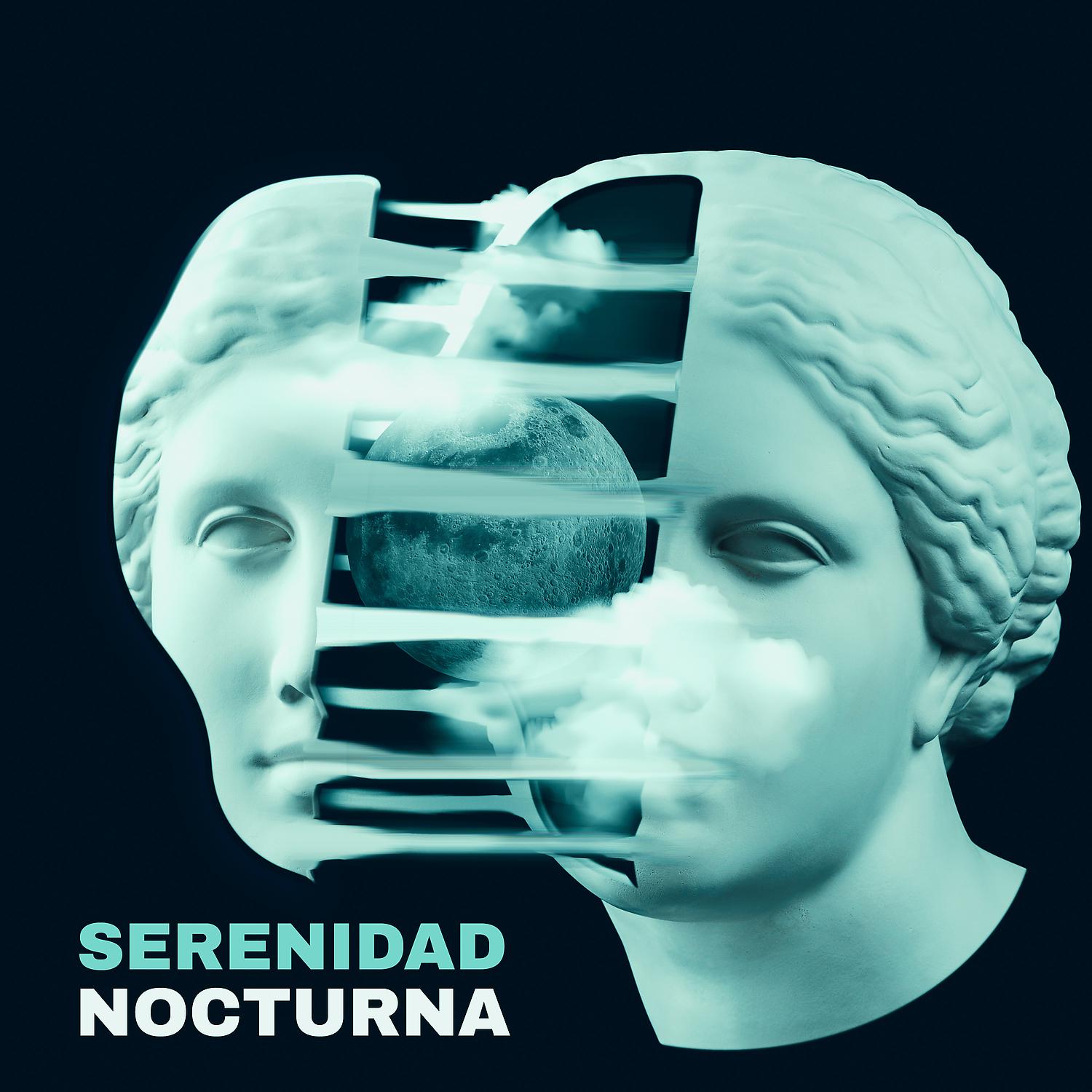 Постер альбома Serenidad Nocturna: Música Tranquila para Relajarse, Meditar y Bien Dormir
