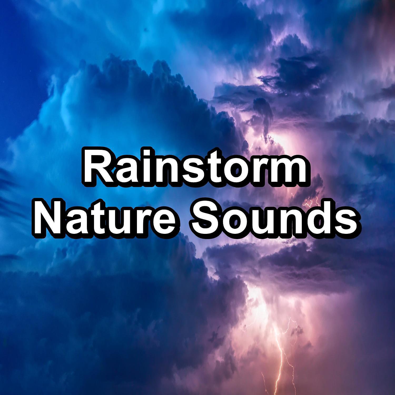 Постер альбома Rainstorm Nature Sounds