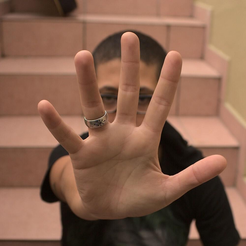 Maia Laan - Minha Teia