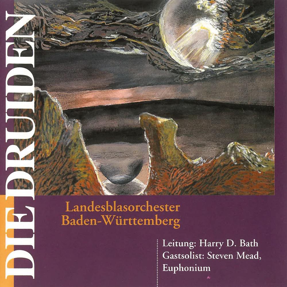 Постер альбома Die Druiden