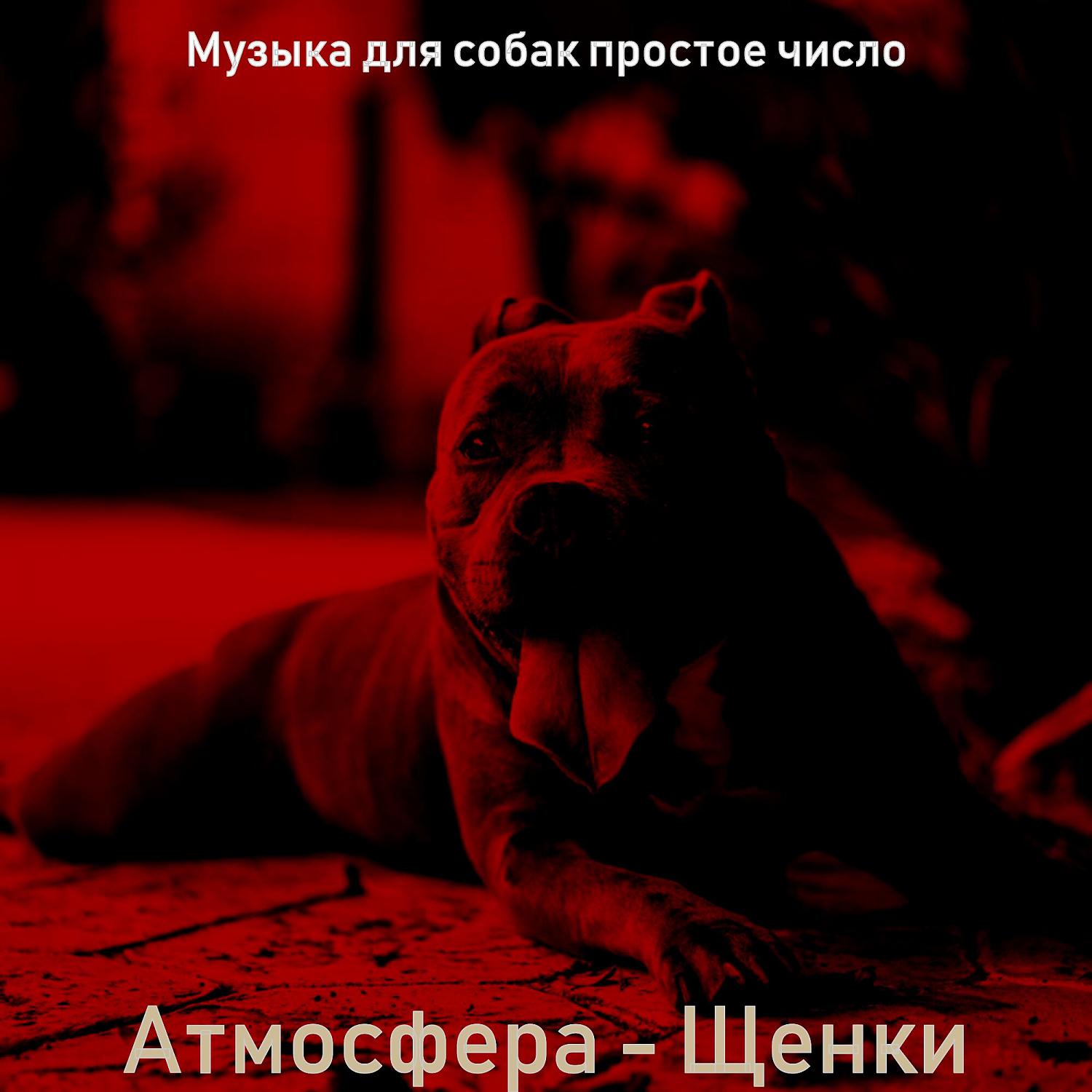Постер альбома Атмосфера - Щенки