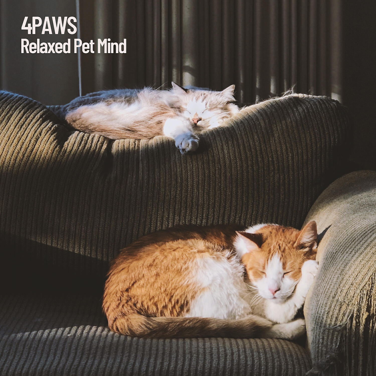 Cat Music - Wellness Cat Spa