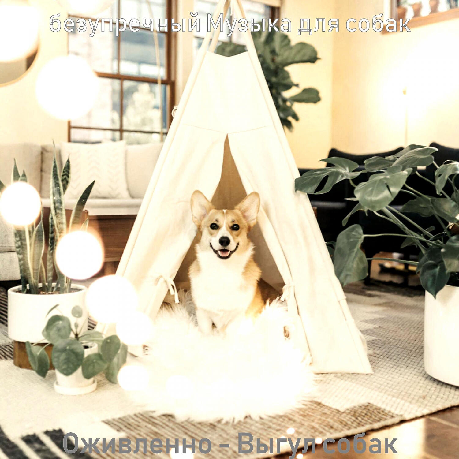 Альбом Оживленно - Выгул собак исполнителя безупречный Музыка для собак