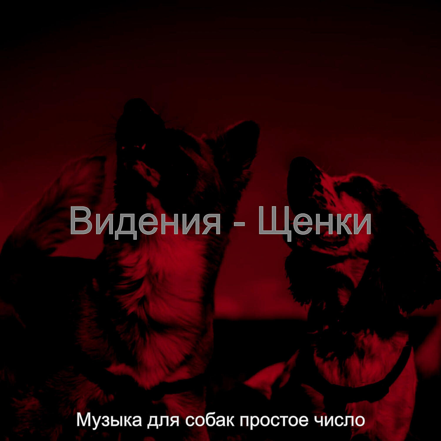 Альбом Видения - Щенки исполнителя Музыка для собак простое число