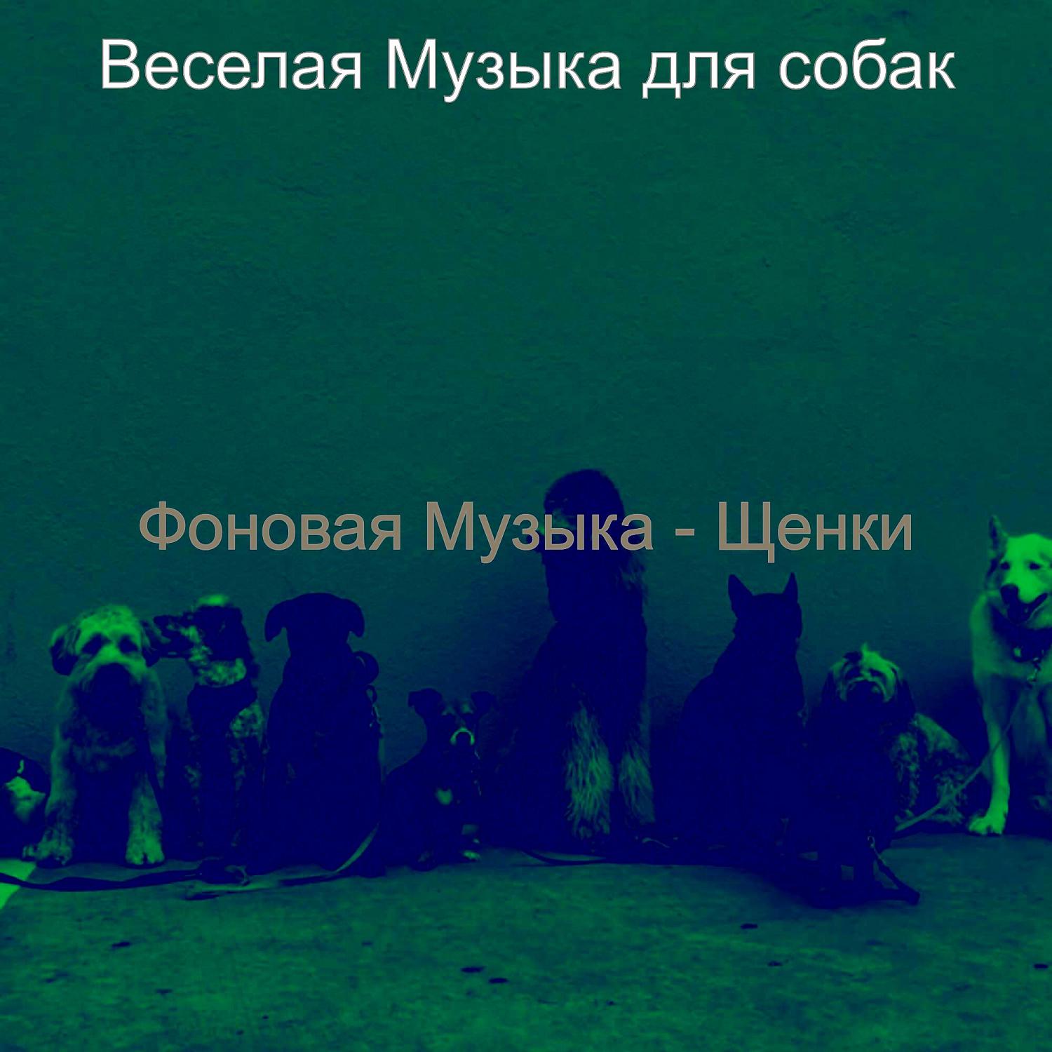 Постер альбома Фоновая Музыка - Щенки
