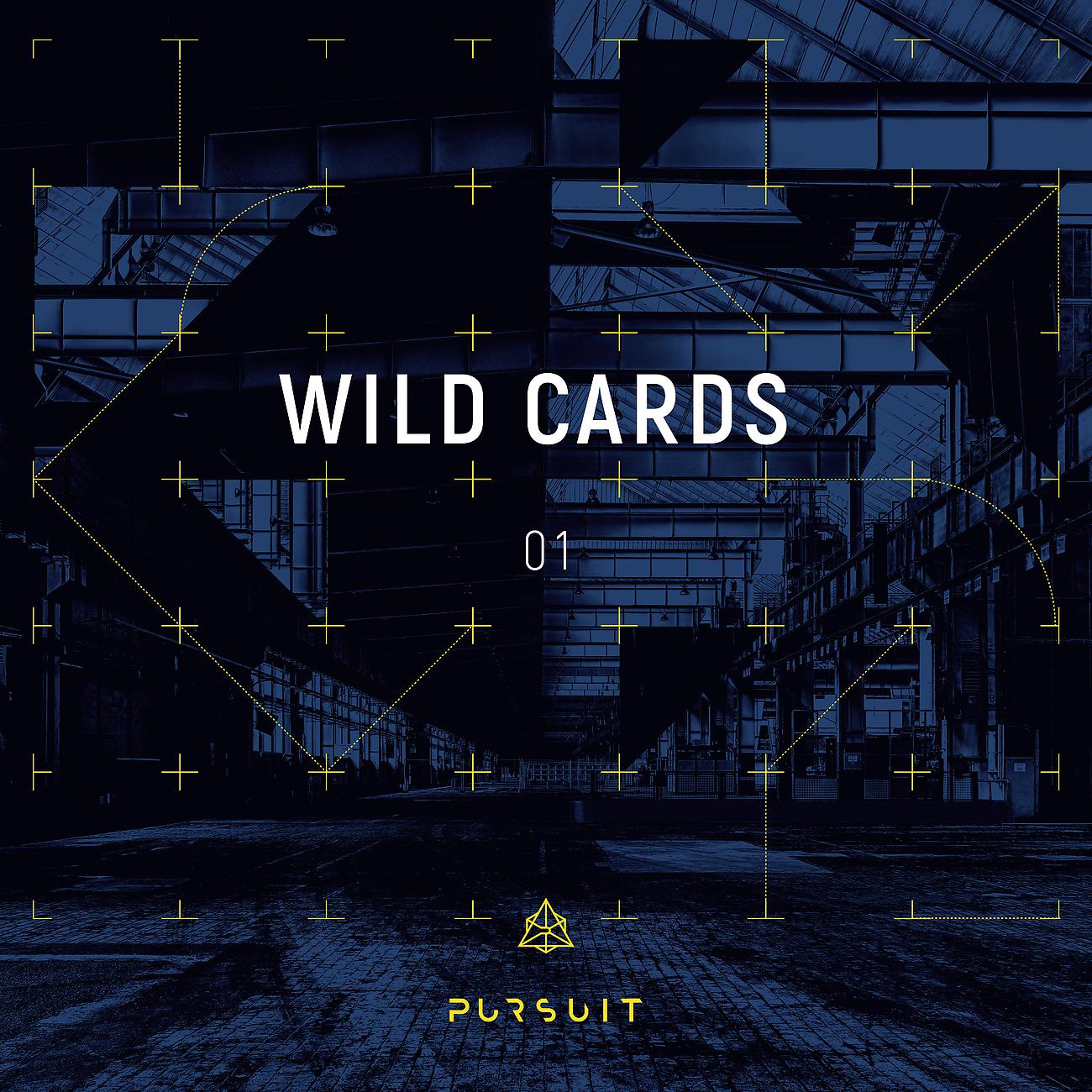 Постер альбома Wild Cards 01