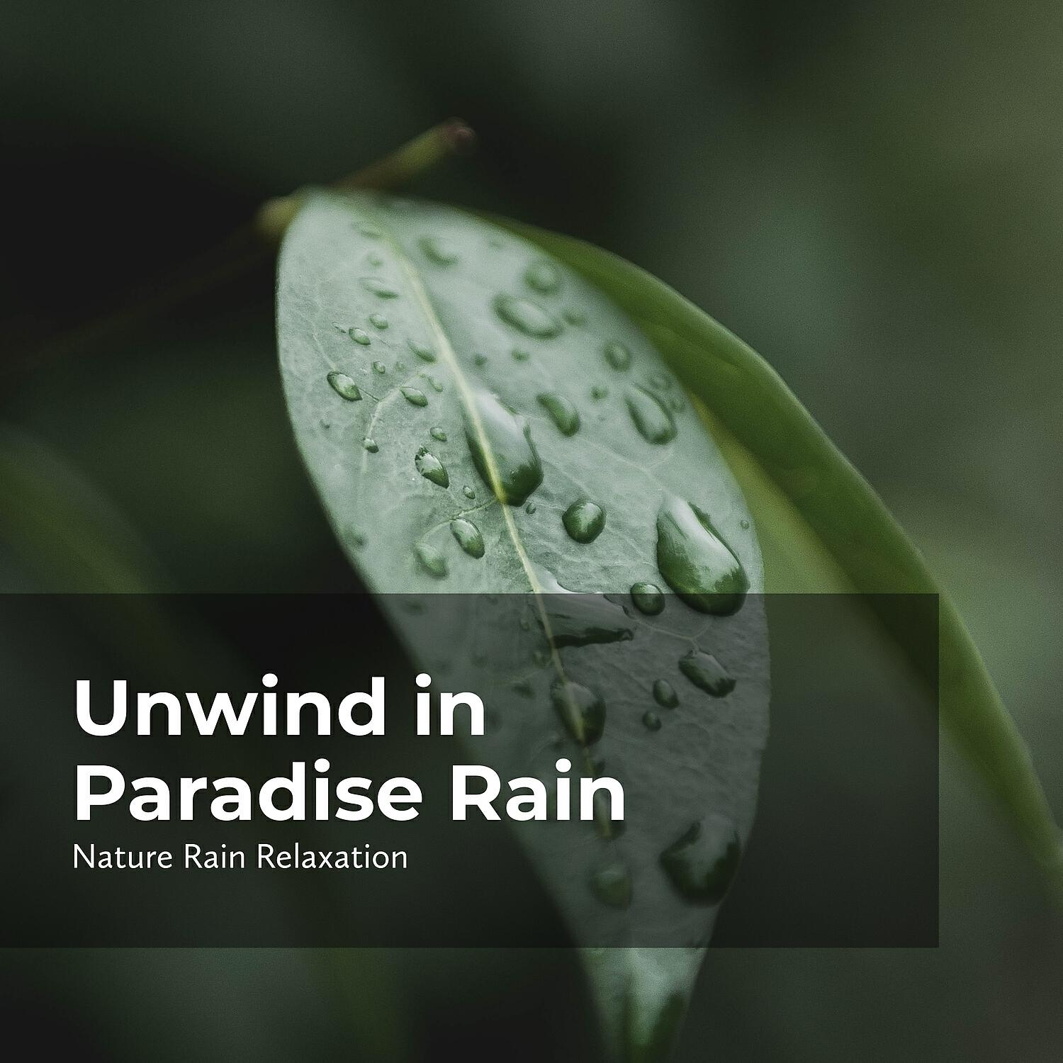 Rainfall - Relaxation in Earth Rain