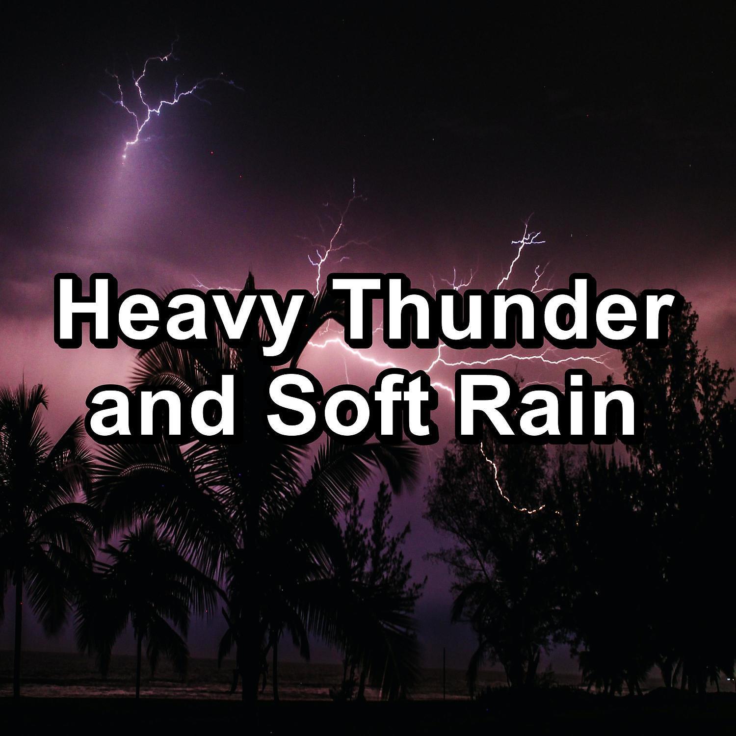 Постер альбома Heavy Thunder and Soft Rain