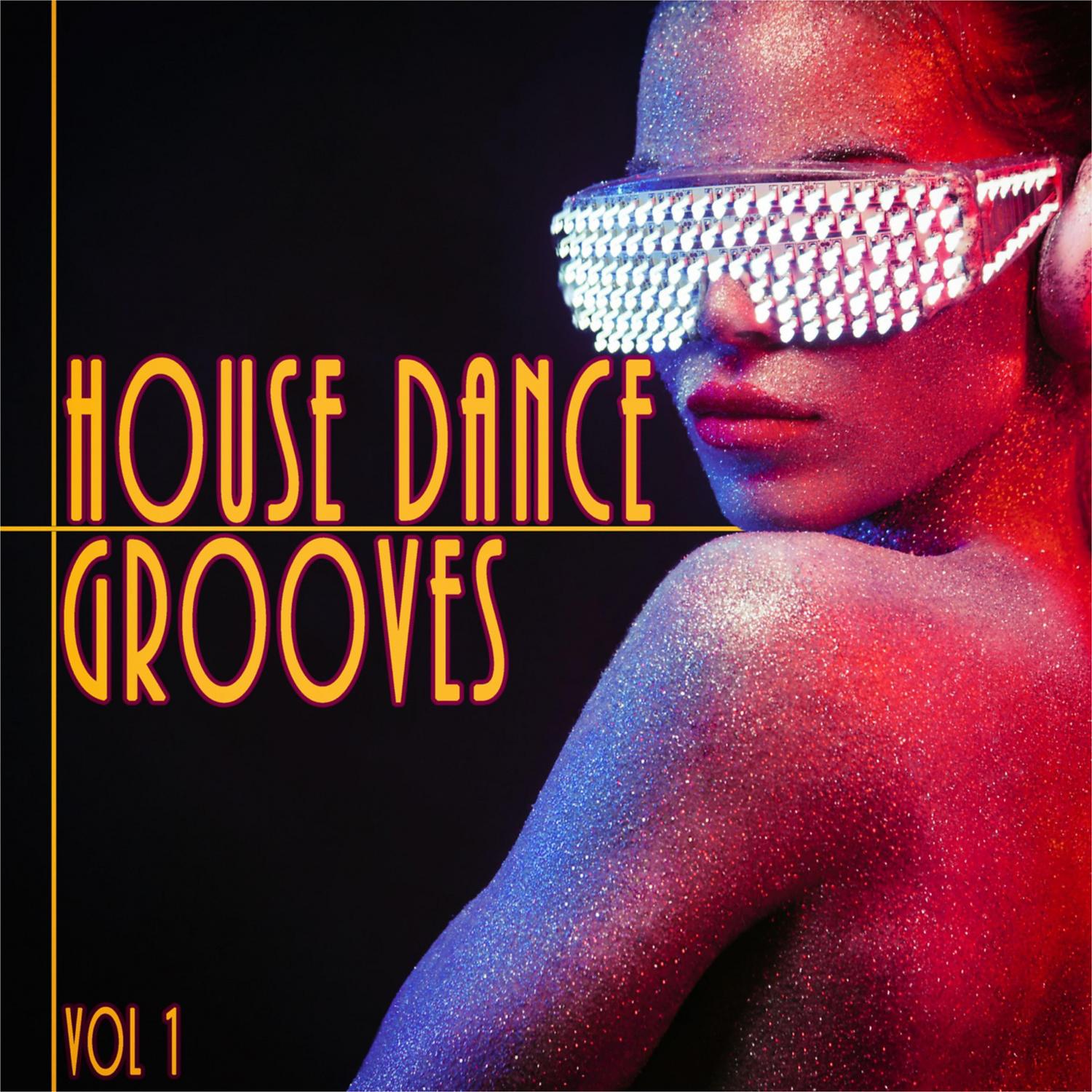 Постер альбома House Dance Grooves, Vol. 1
