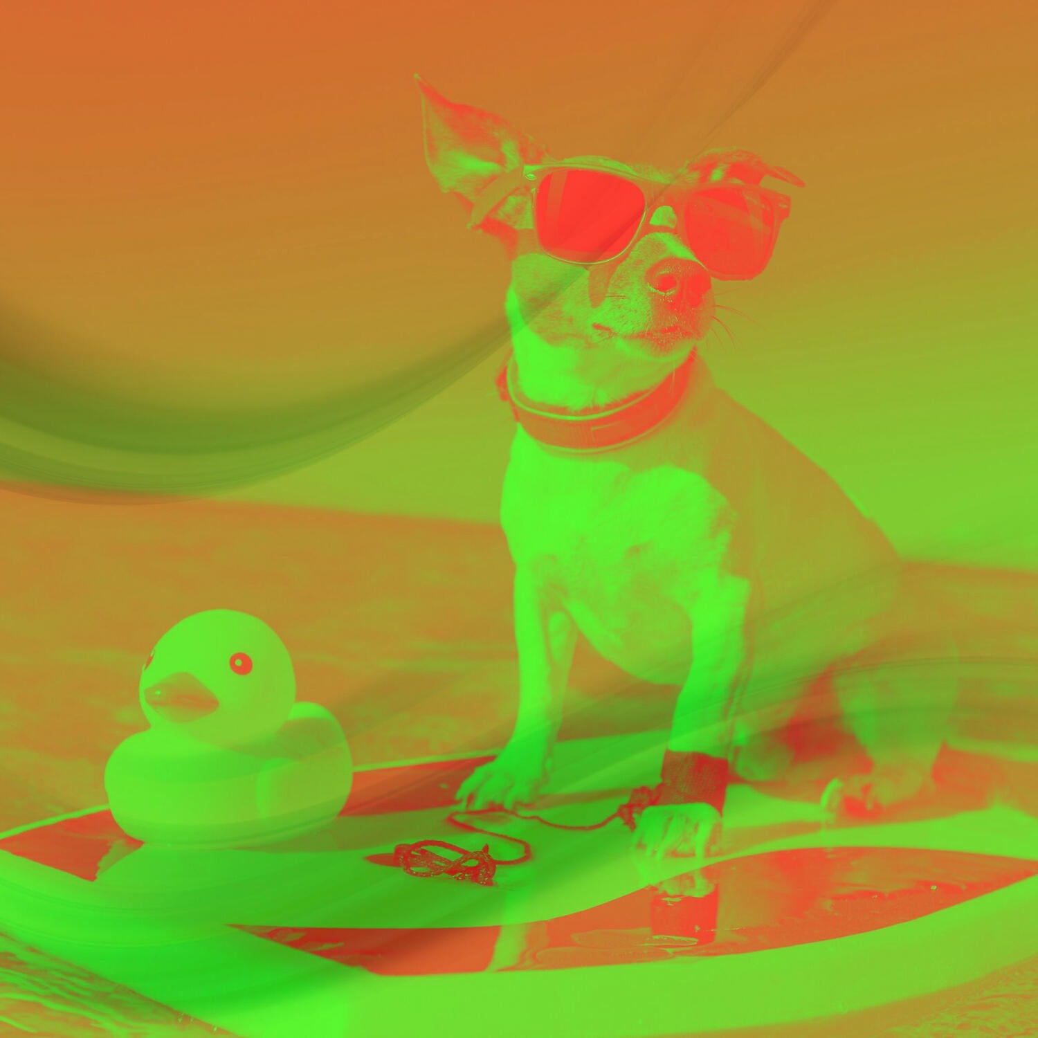 Relaxing Dog Music All-stars - Guitar Music Soundtrack for Anxious Puppies