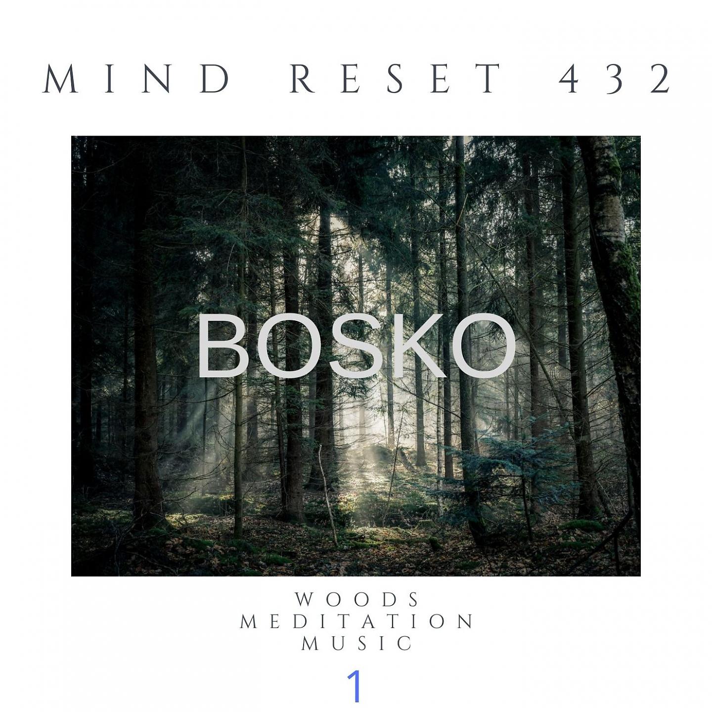 Постер альбома BOSKO Woods meditation music