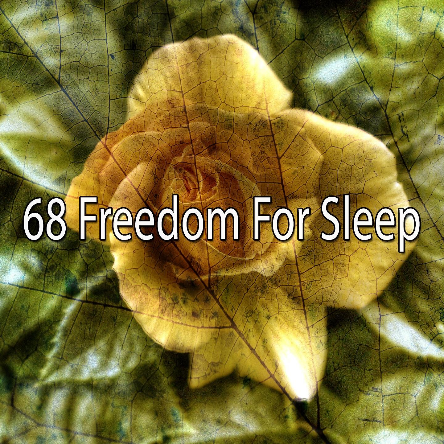 Musica para Dormir Dream House - Kicking Back