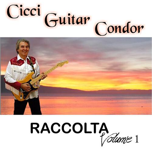 Cicci Guitar Condor - Nando