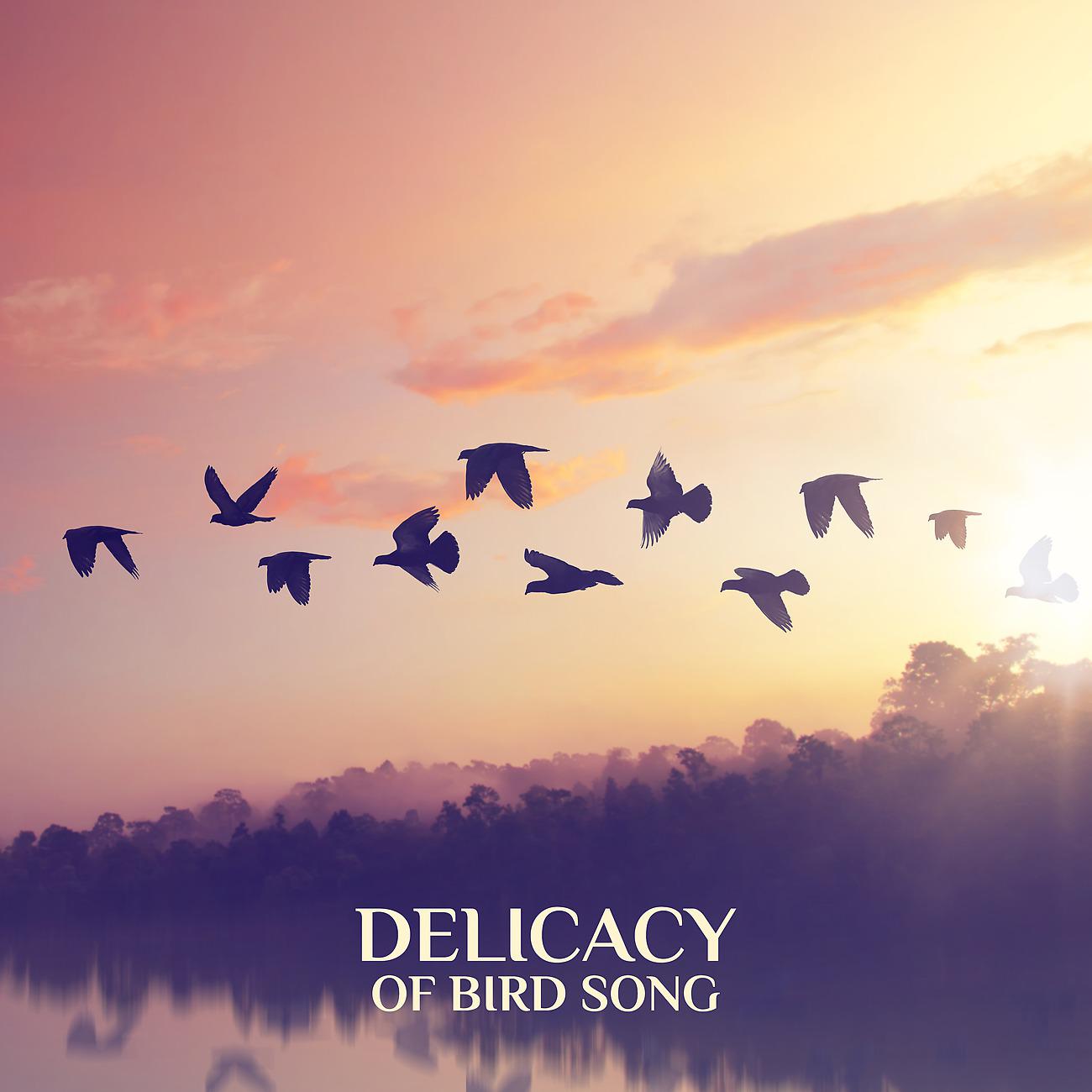 Постер альбома Delicacy of Bird Song - Deep Relaxation and Summer Vibes