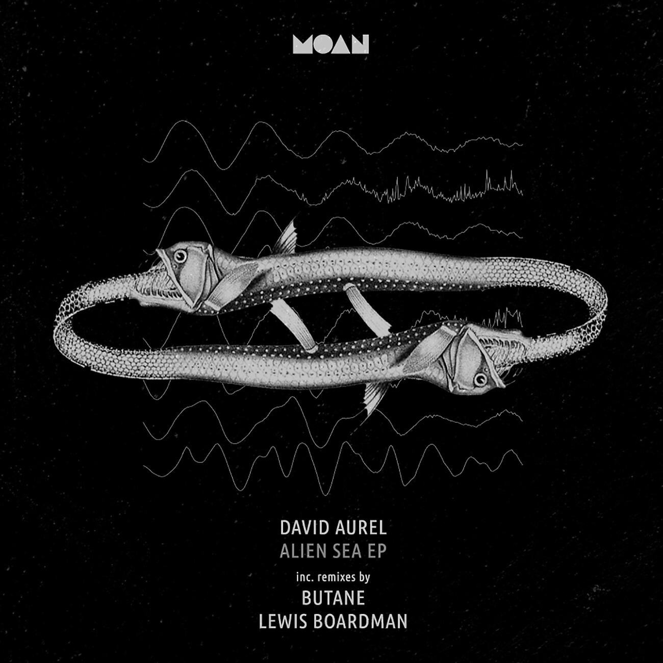David Aurel - Alien Sea (Original Mix)