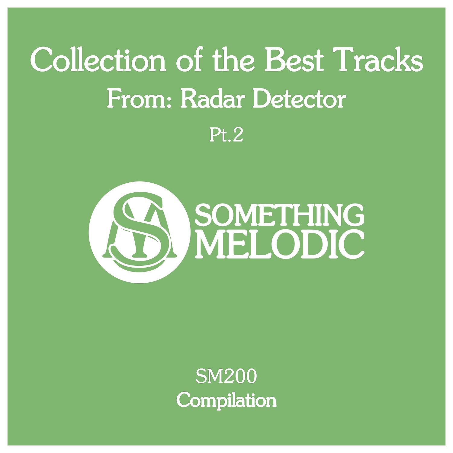 Постер альбома Collection of the Best Tracks From: Radar Detector, Pt. 2