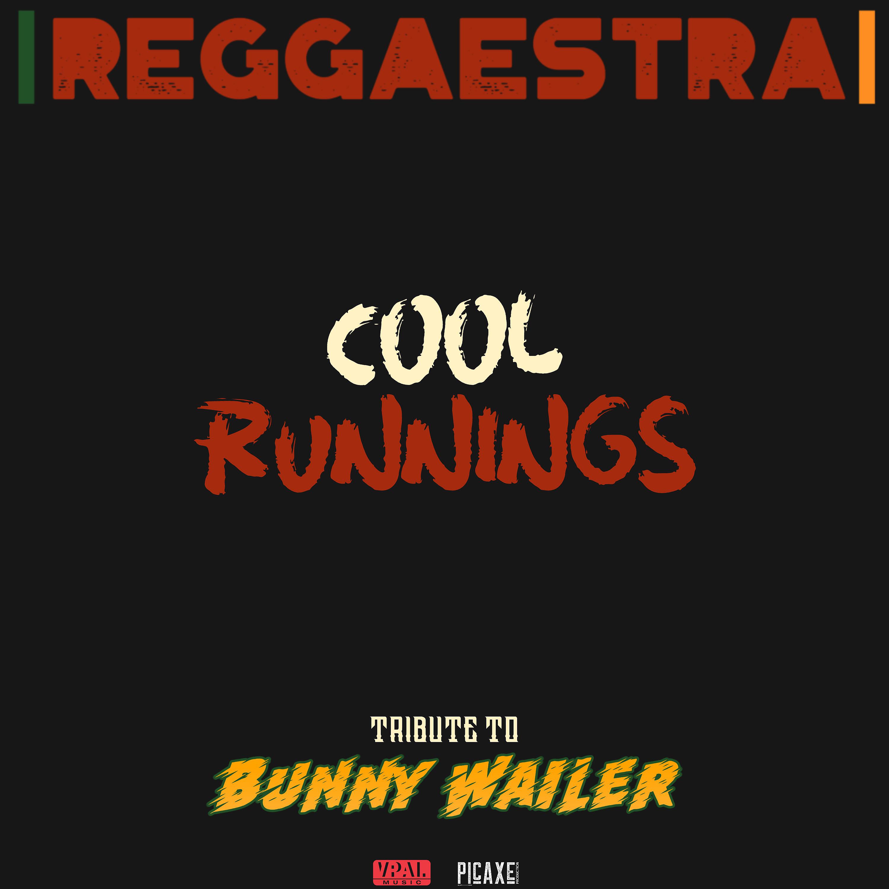 Постер альбома Cool Runnings