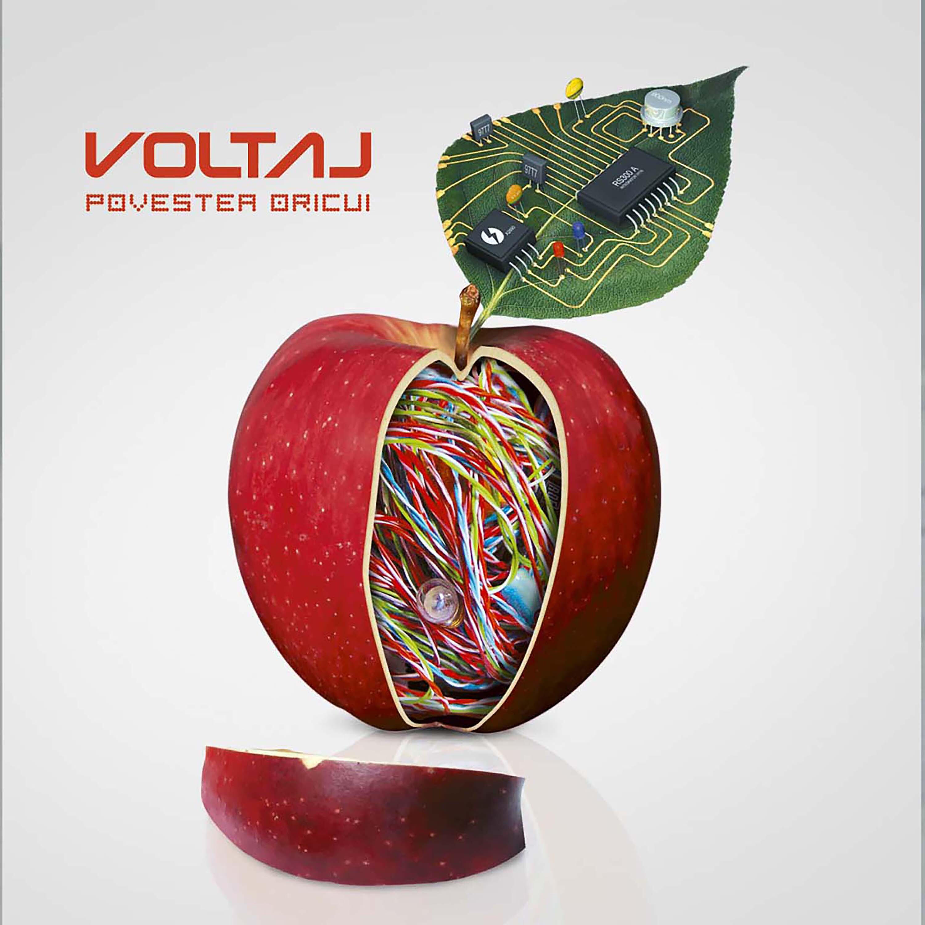Voltaj - Povestea oricui