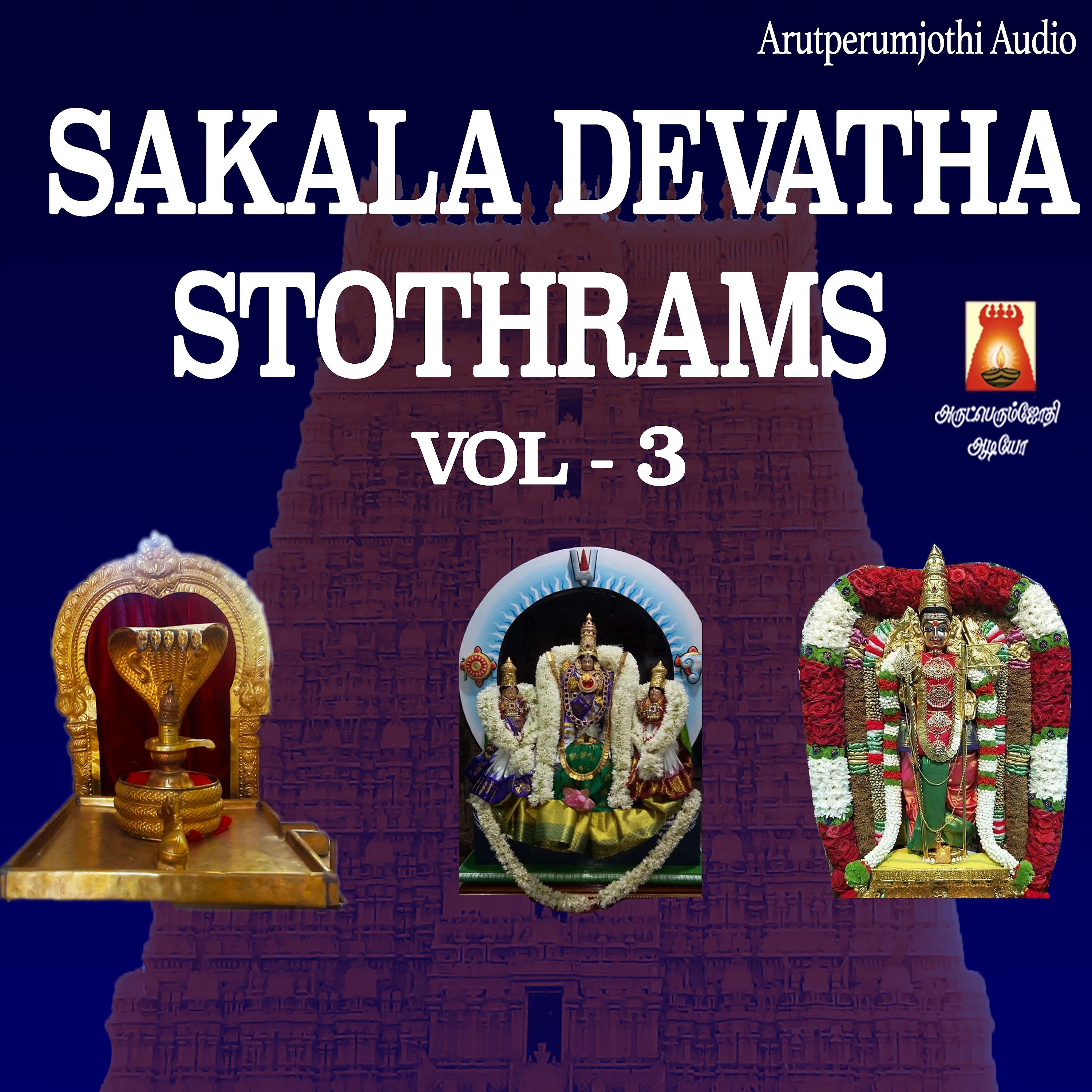 Постер альбома Sakala Devatha Stothrams, Vol. 3