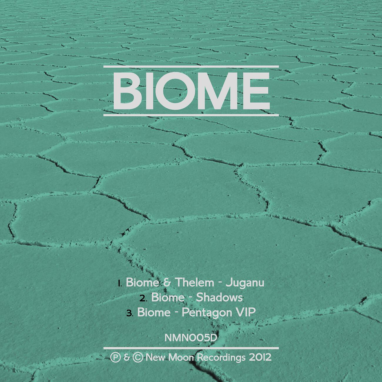 Biome - Shadows (Original Mix)