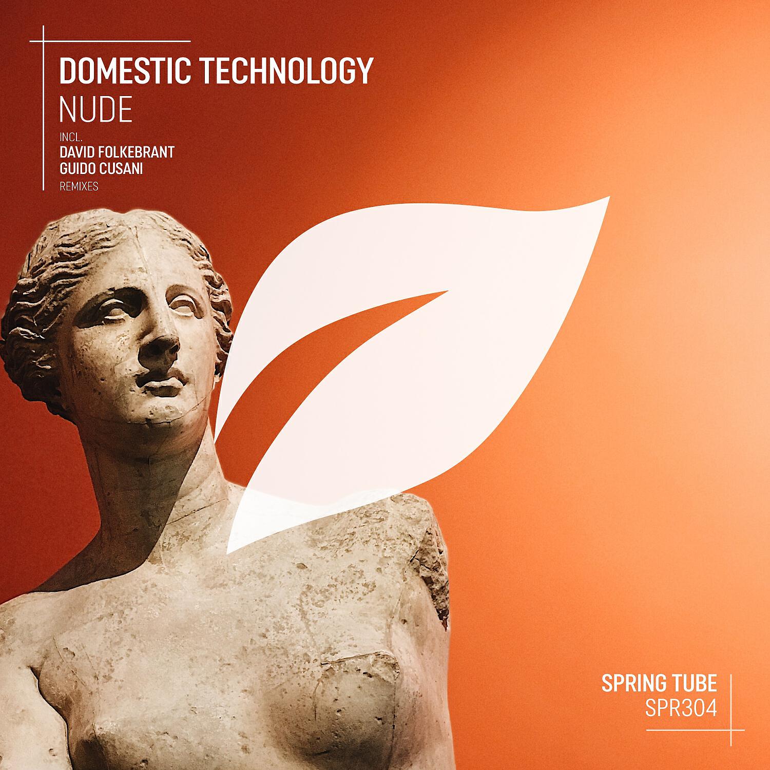 Domestic Technology - Nude (David Folkebrant Remix)