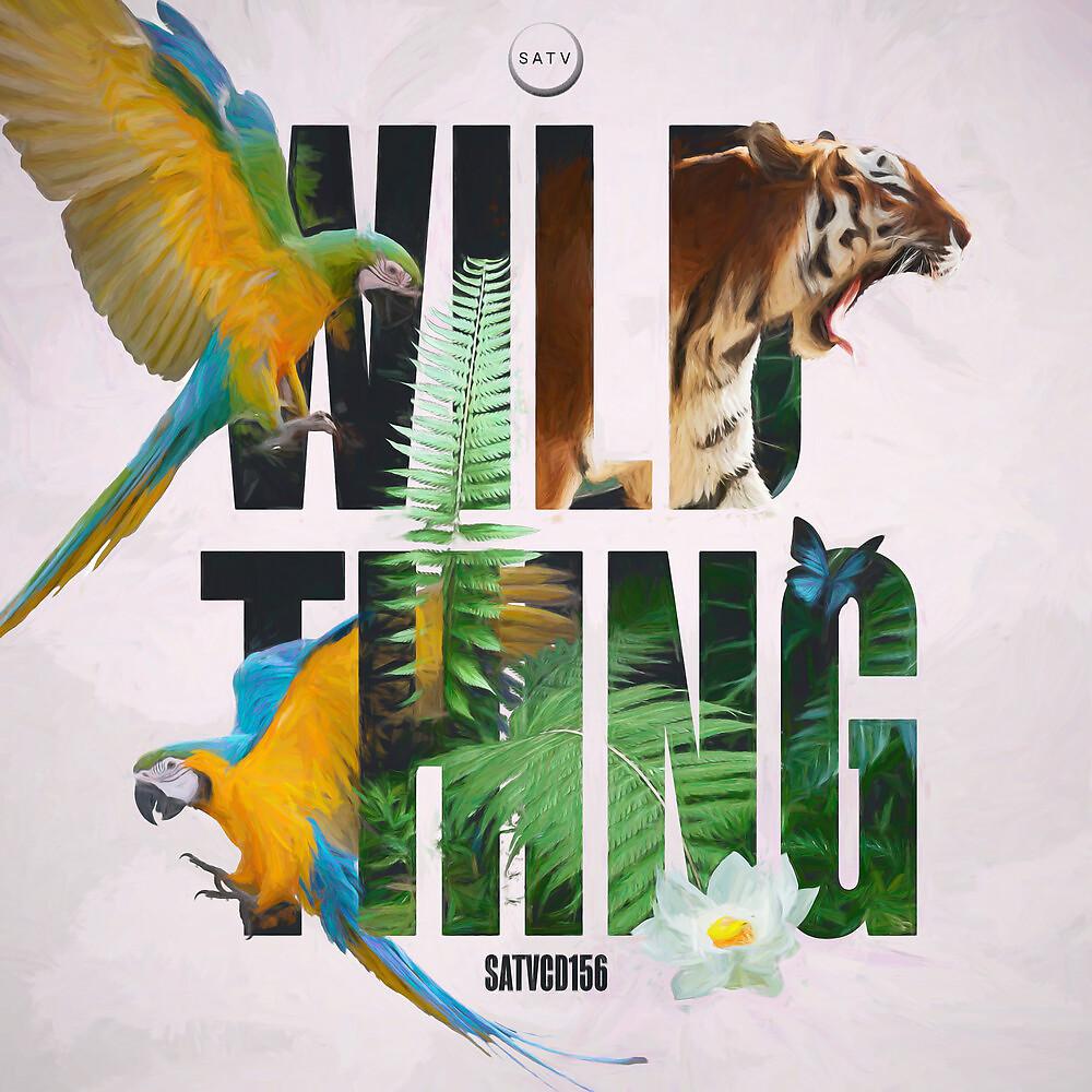 Постер альбома Wild Thing