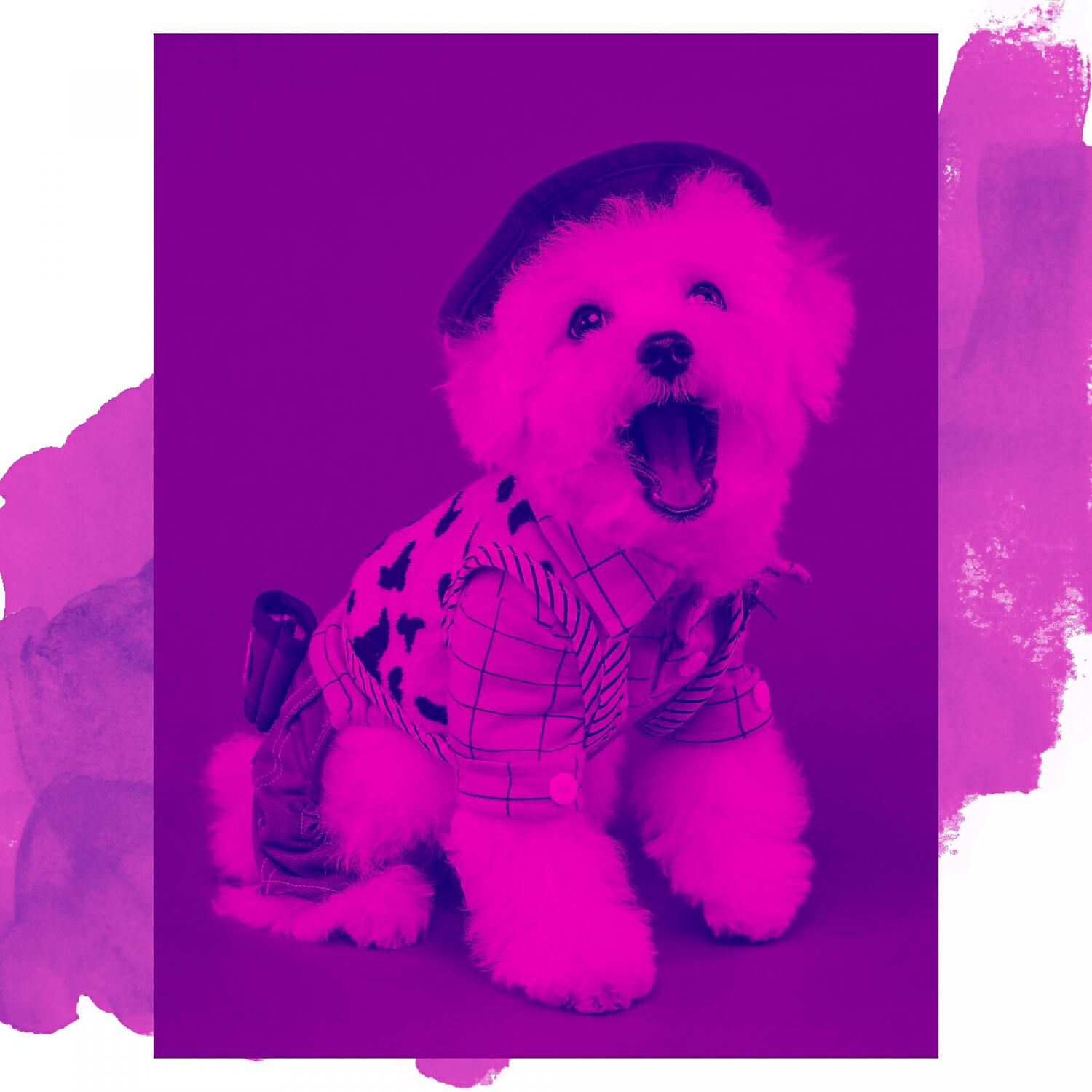 Relaxing Dog Music Orchestra - Simplistic Anxious Puppies