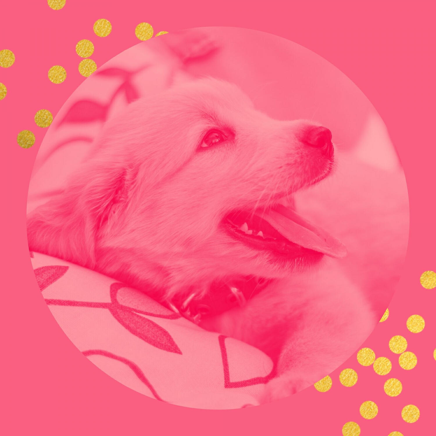 Relaxing Dog Music Deluxe - Relaxing Calming Your Puppy
