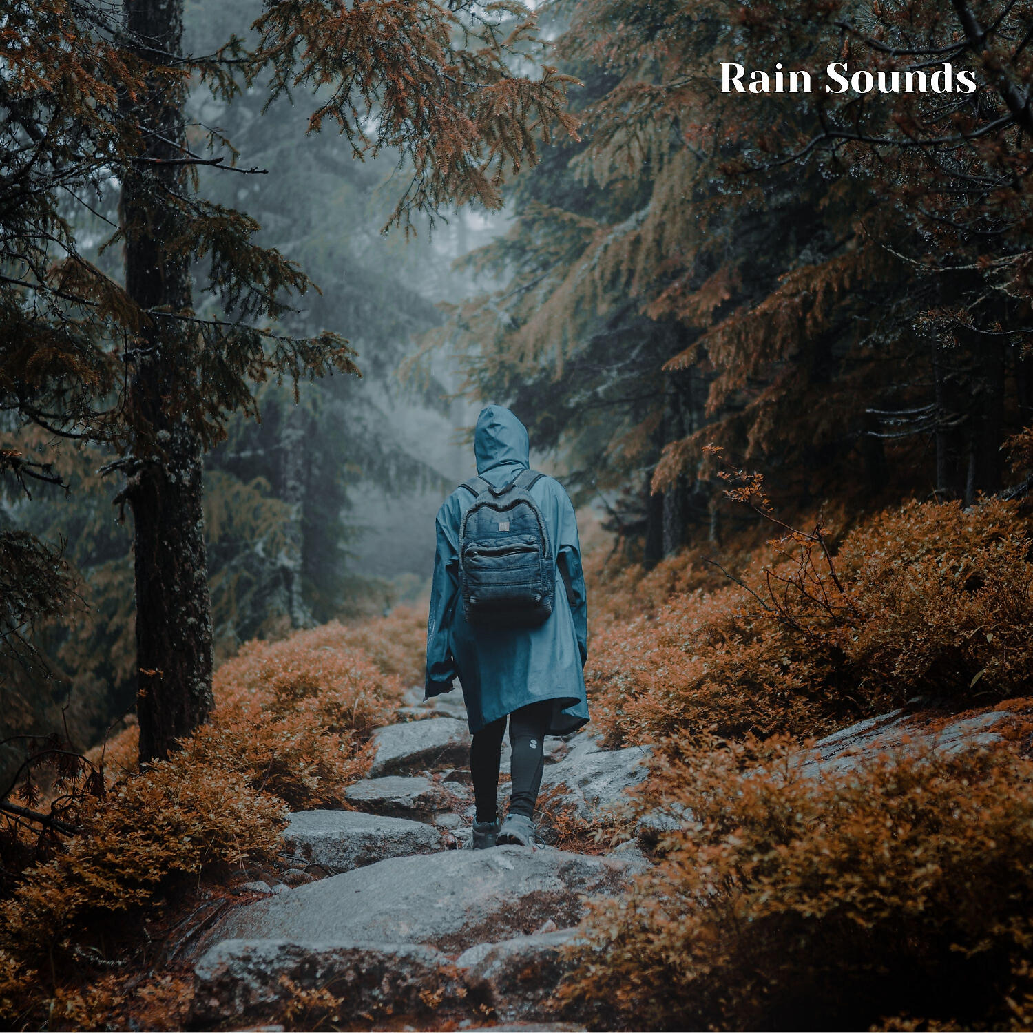 Weather - Summer Showers and Thunderstorms, Pt. 4