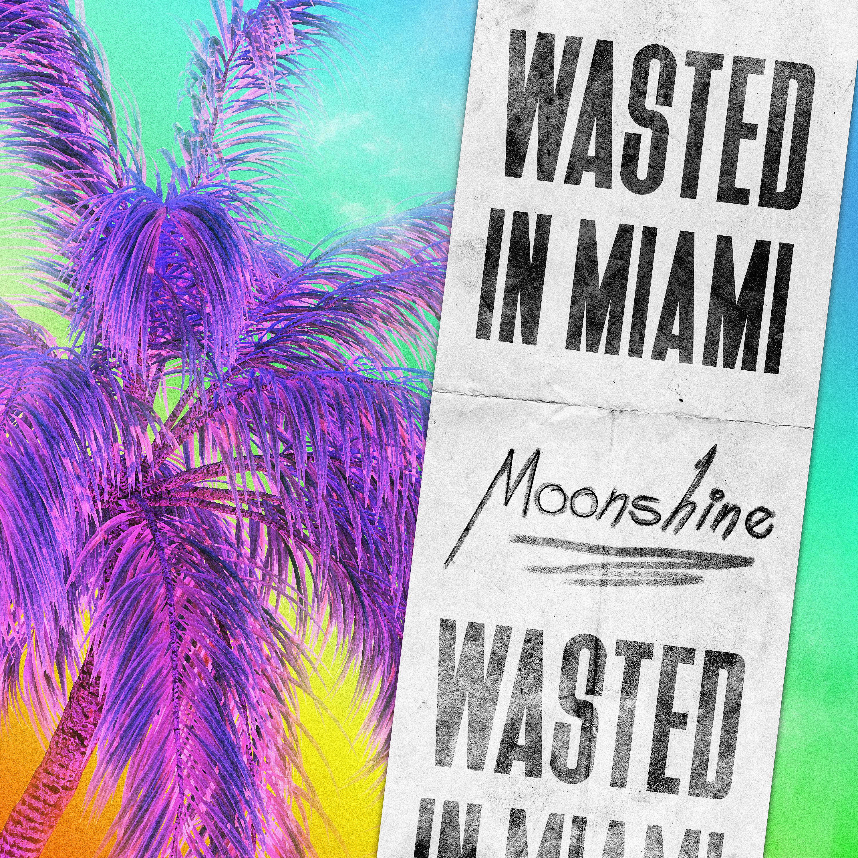 Постер альбома Wasted in Miami