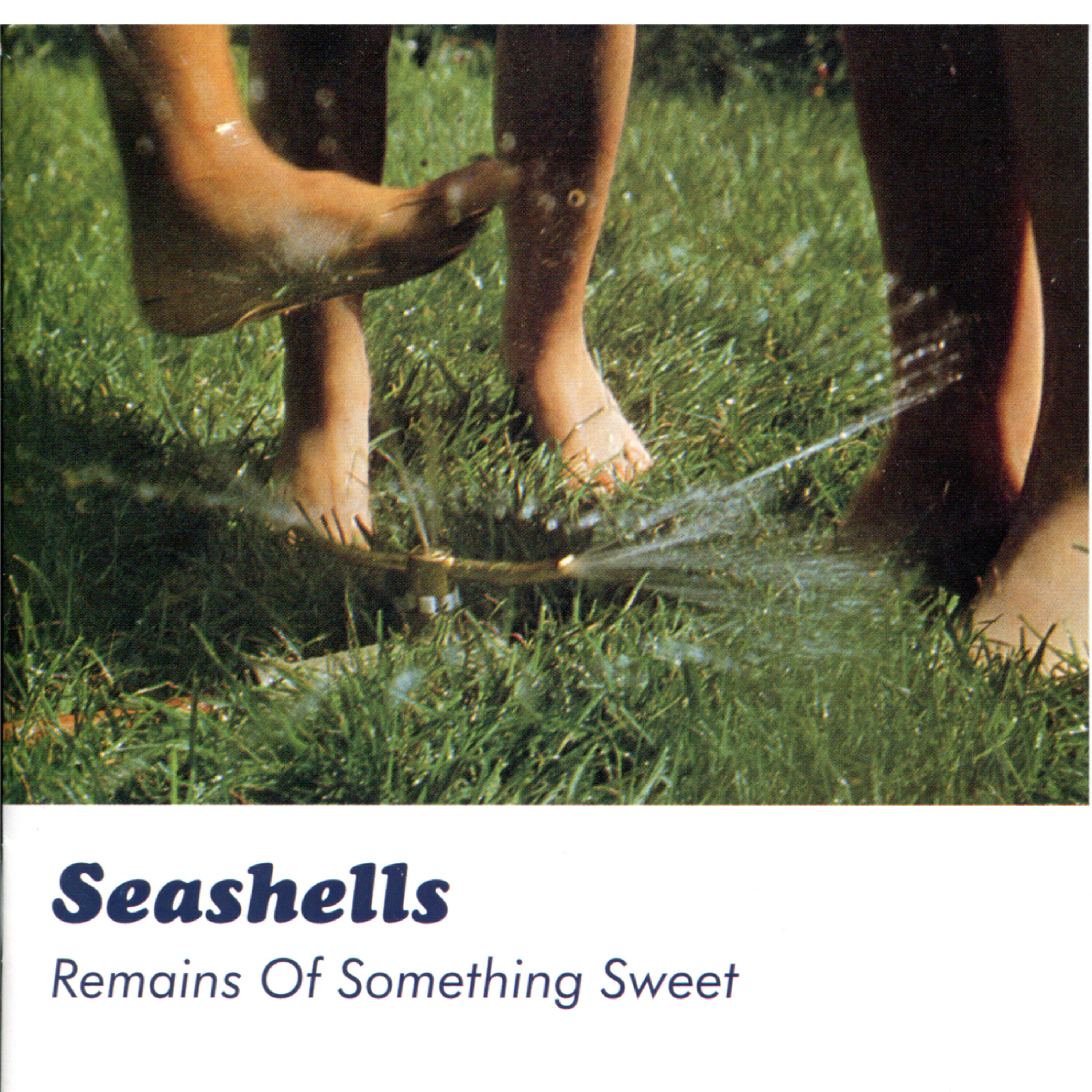 Sea Shells - Holy Girls