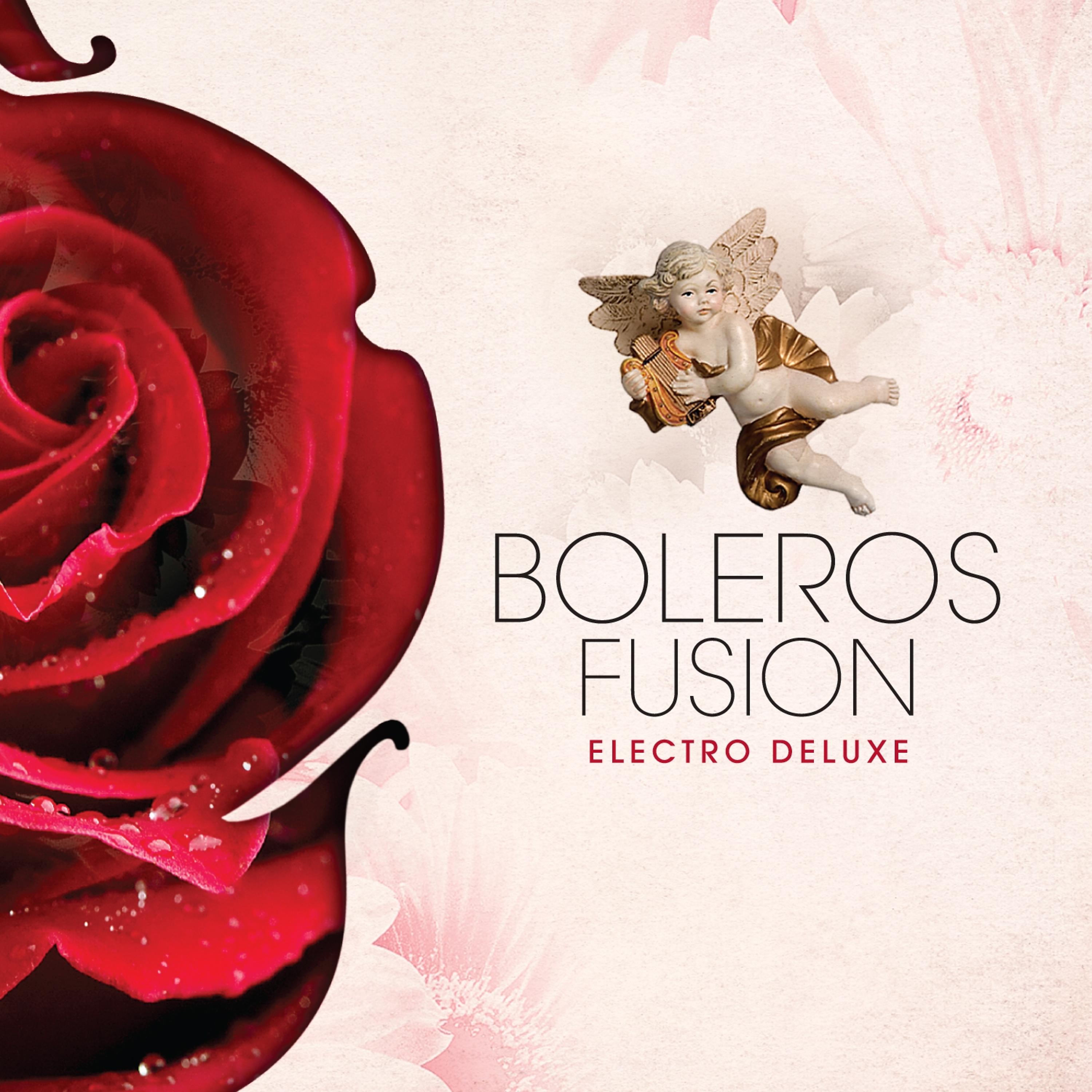 Постер альбома Boleros Fusion - Electro Deluxe