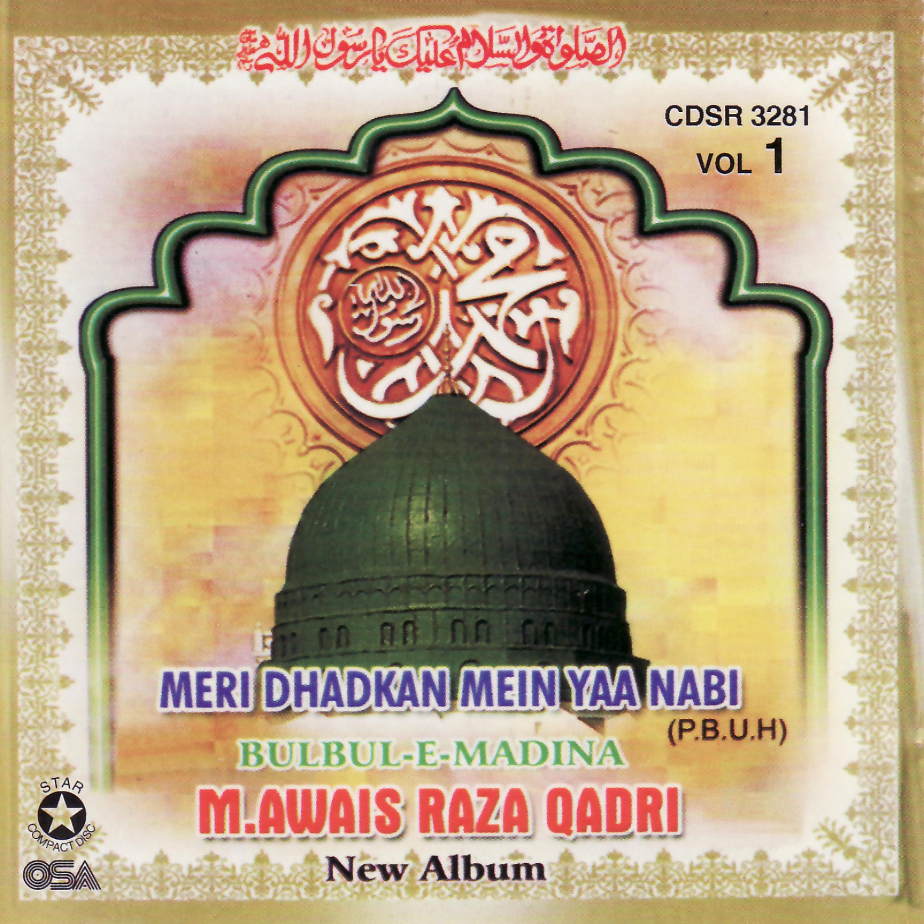 Постер альбома Bulbul-e-Madina