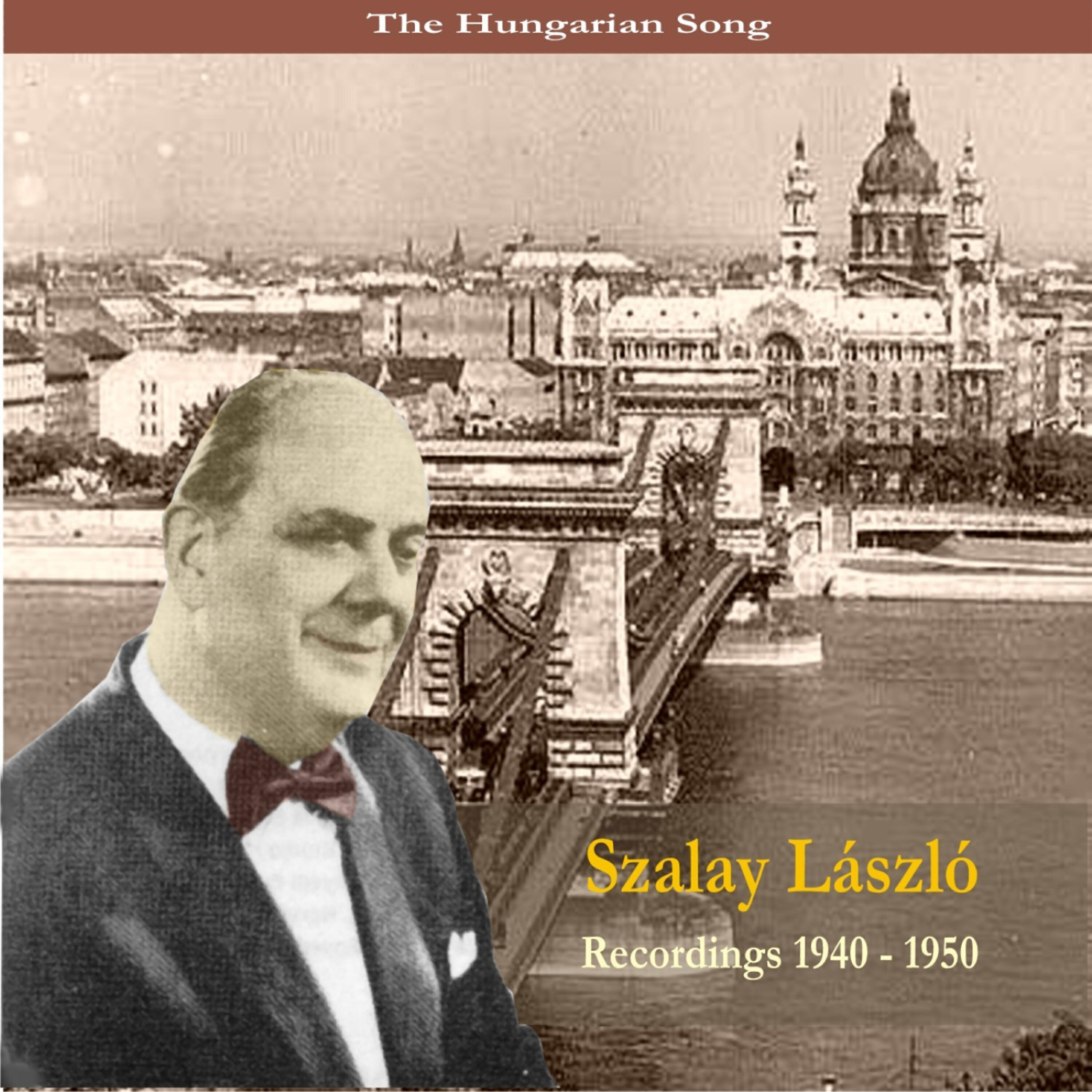 Szalay Laszlo - Katicabogar