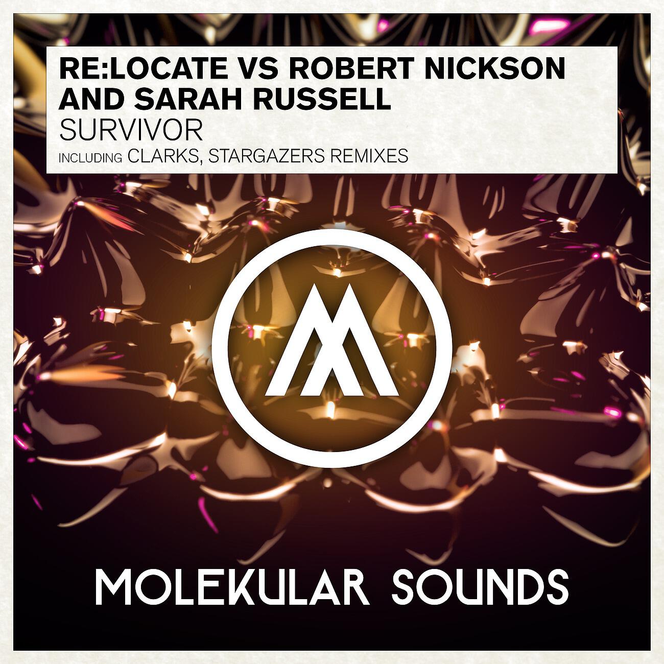 Re:Locate - Survivor (Clarks Remix)
